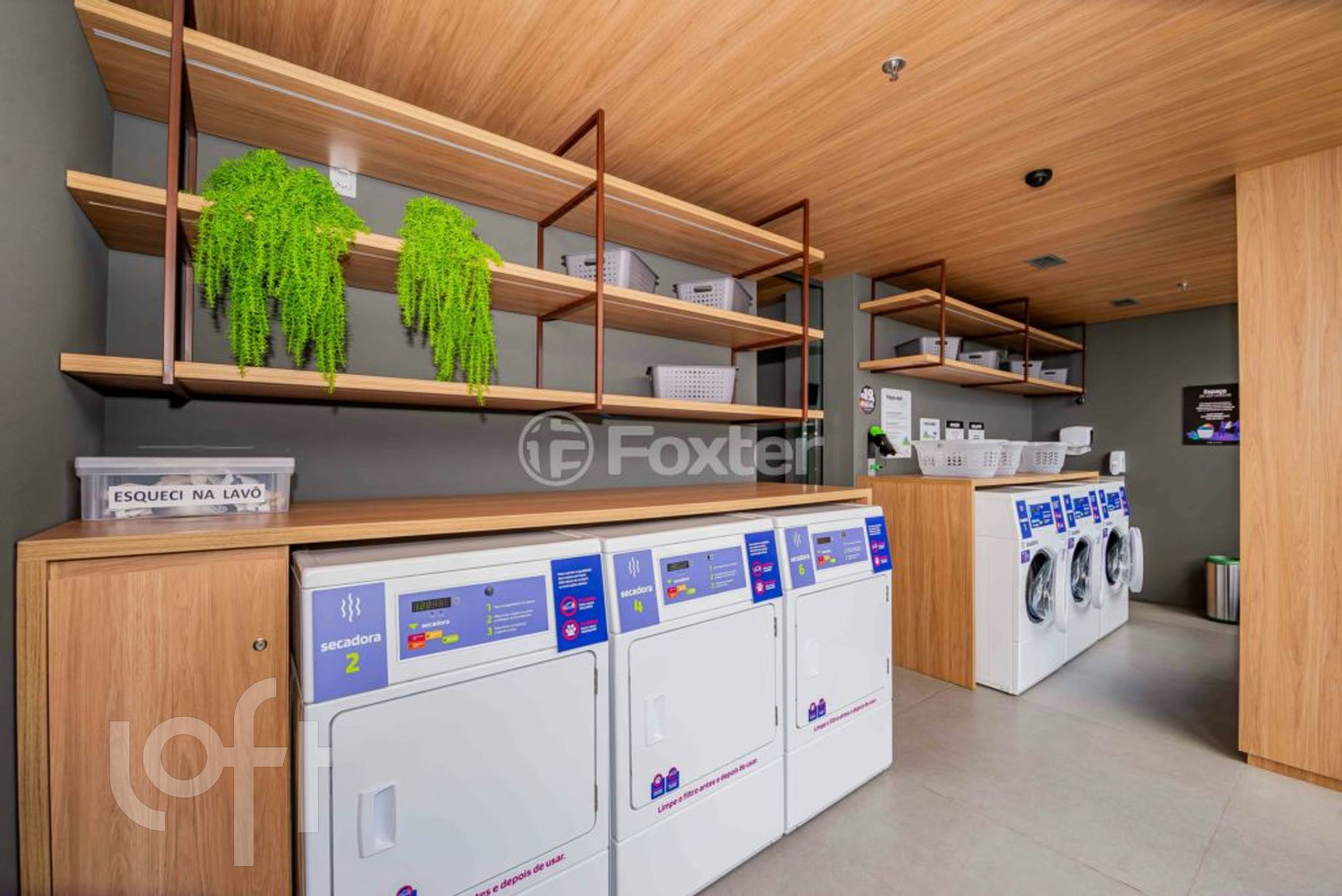 Imagem da propriedade 36