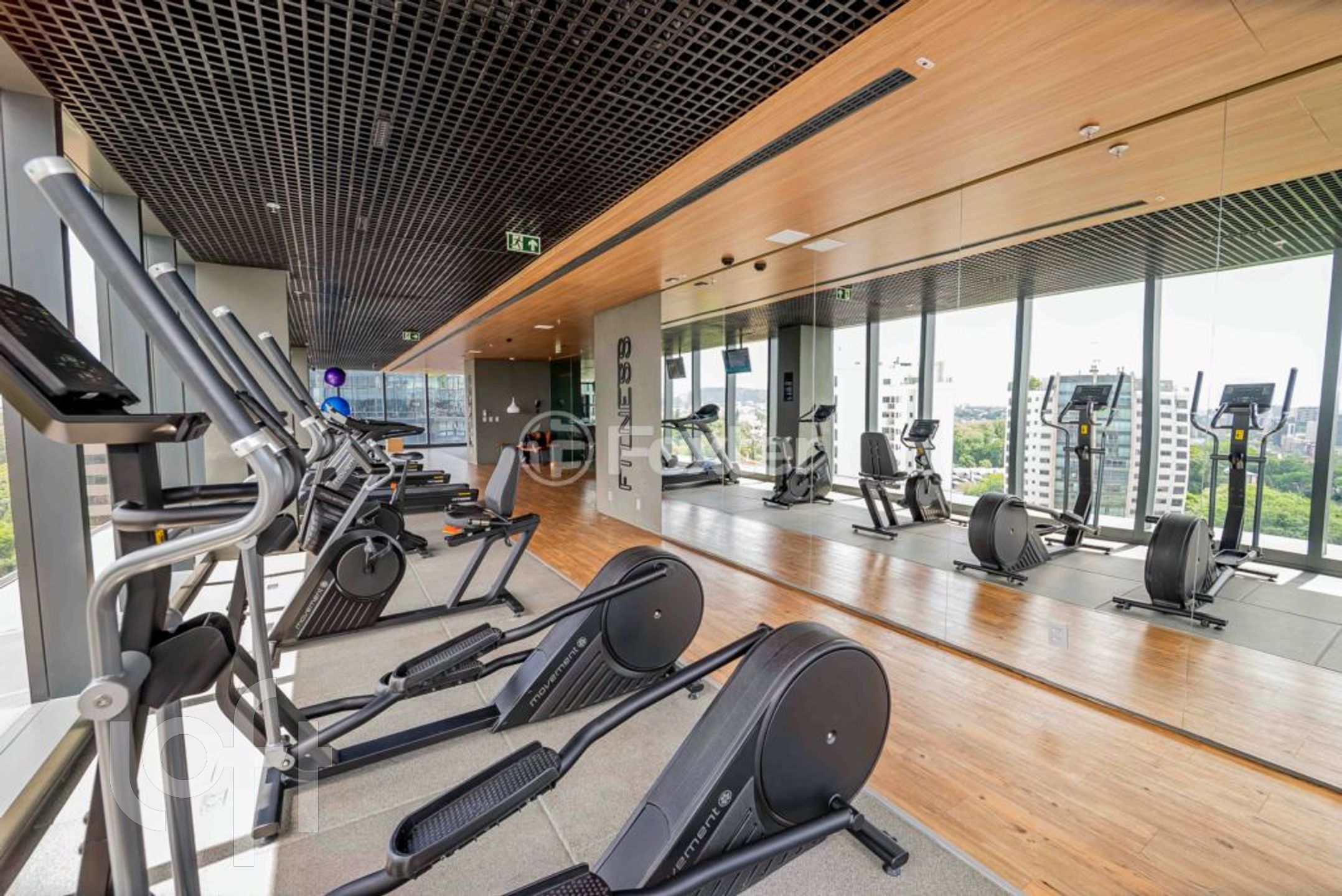 Imagem da propriedade 42