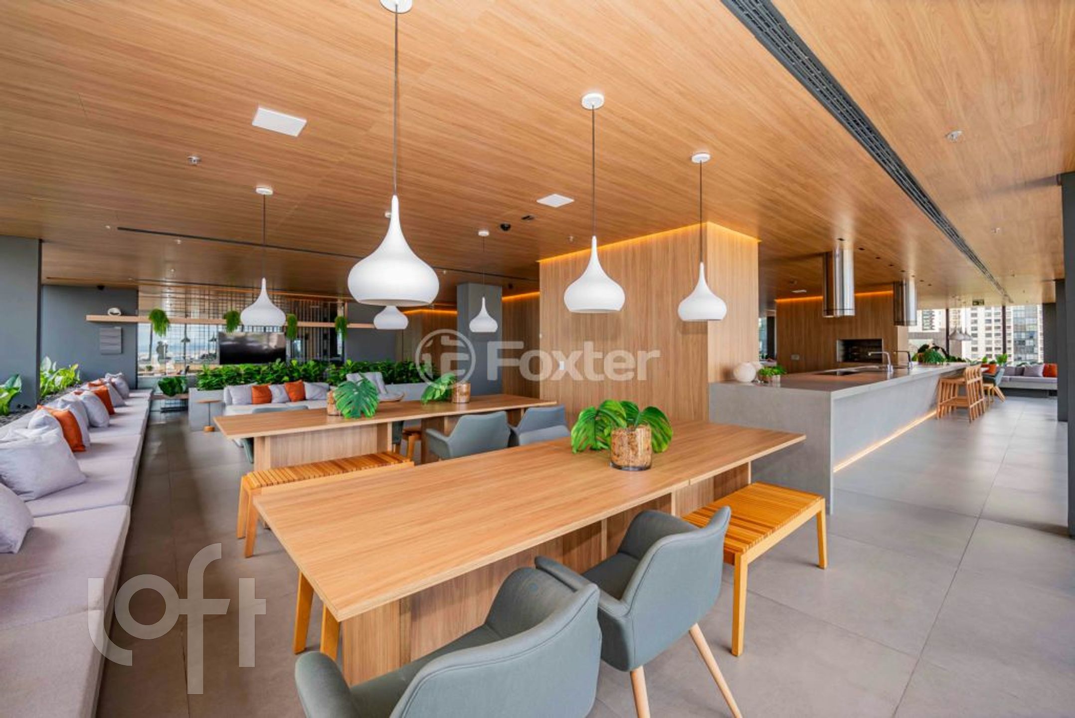 Imagem da propriedade 27