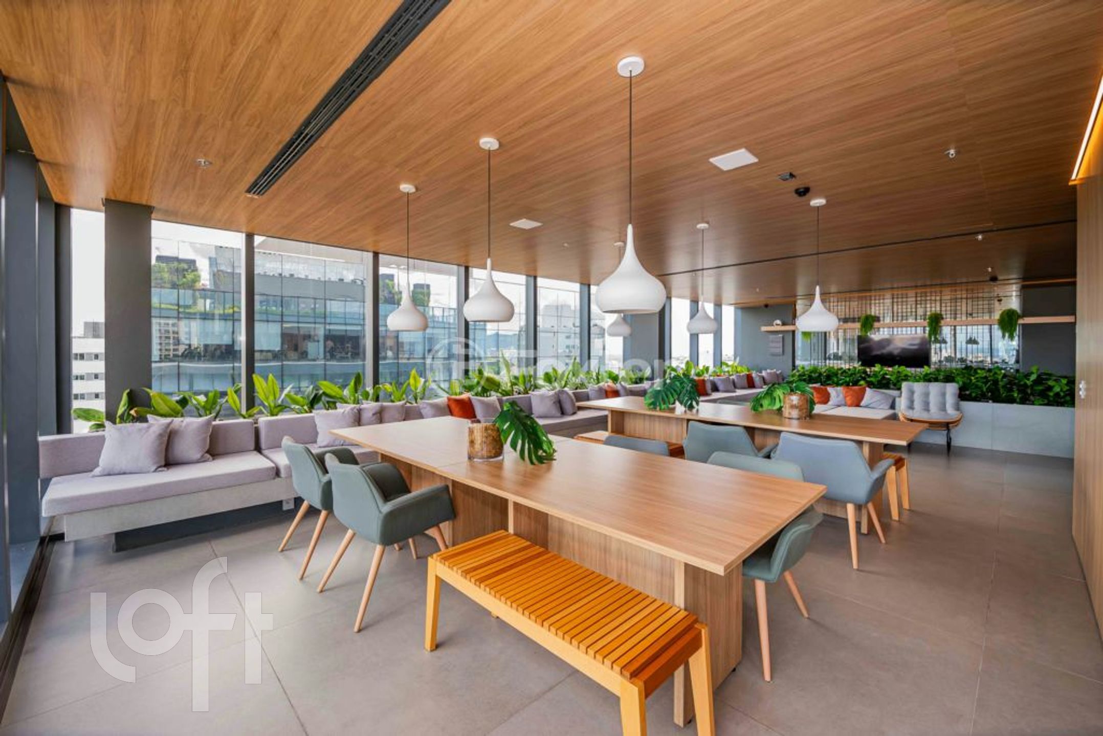 Imagem da propriedade 26