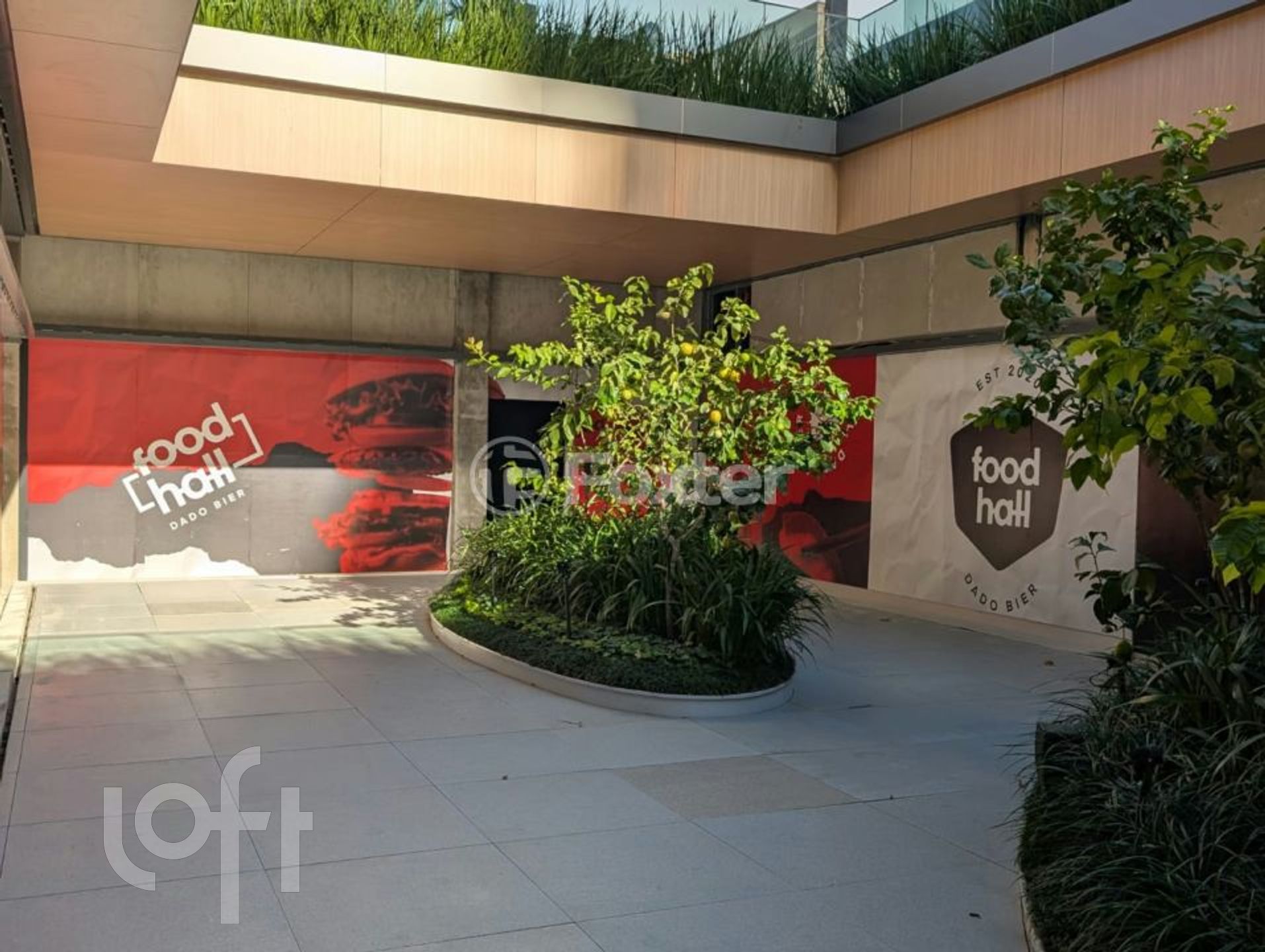 Imagem da propriedade 8