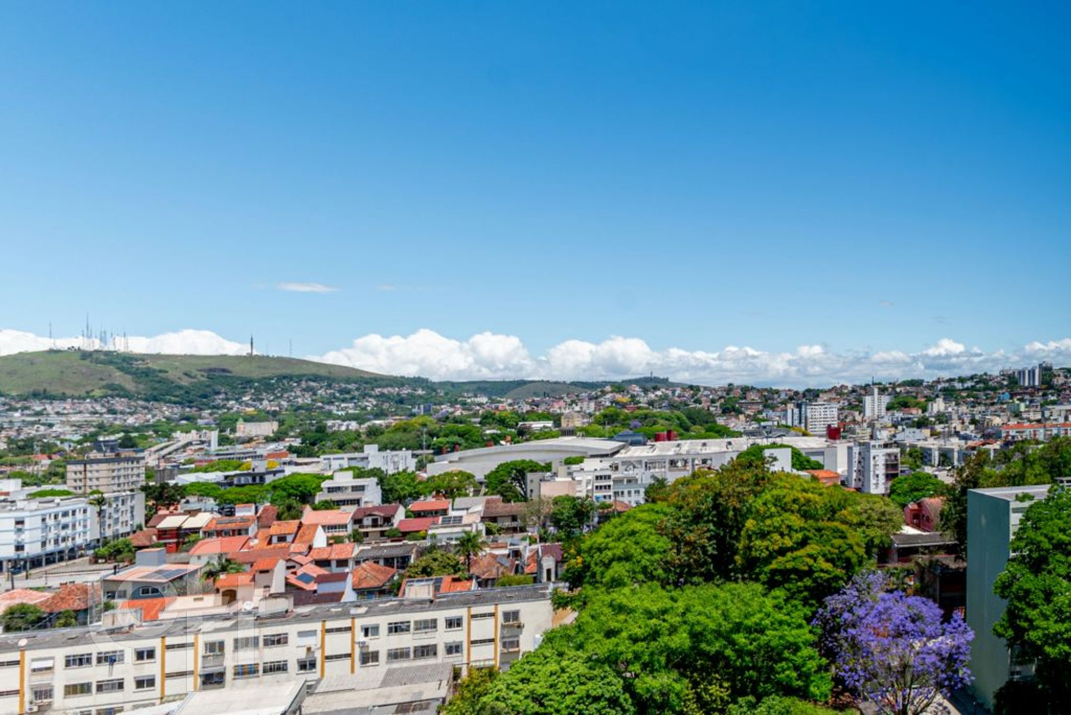 Imagem da propriedade 4