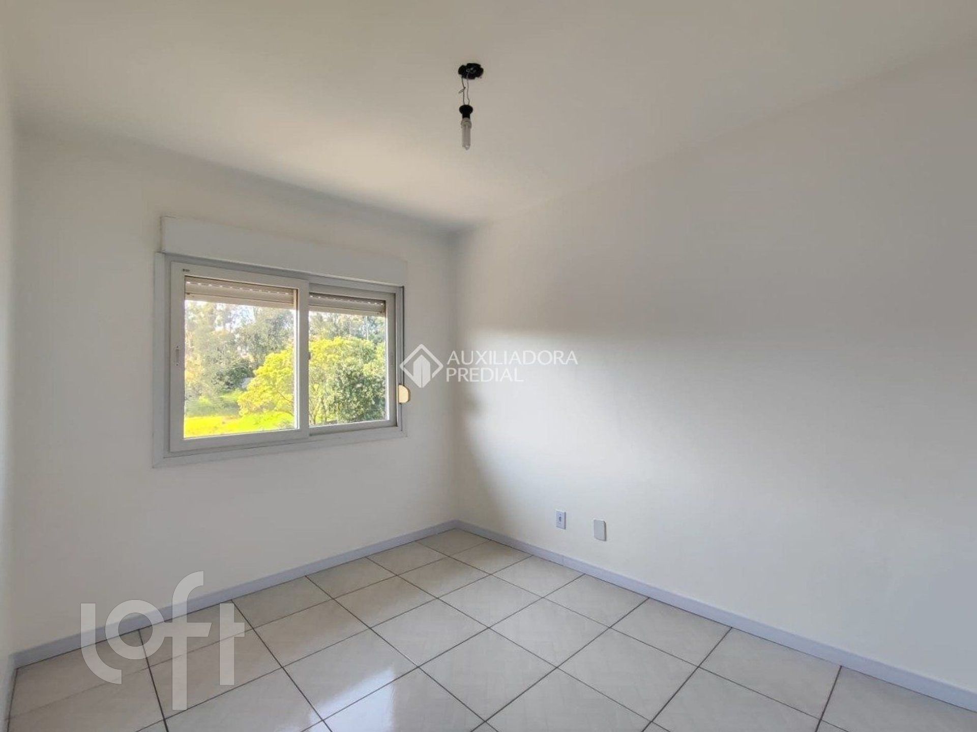 Imagem da propriedade 11