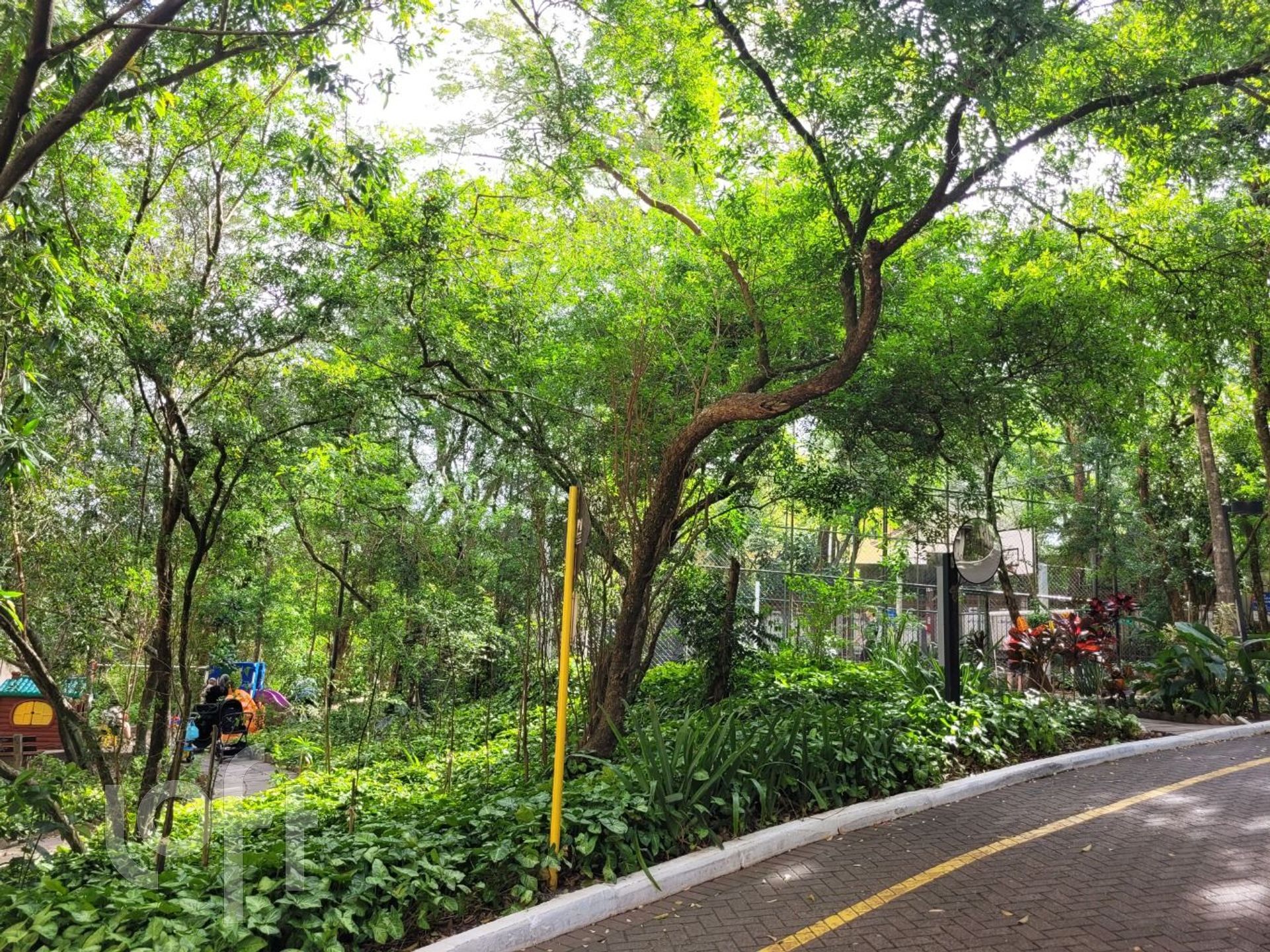 Imagem da propriedade 29