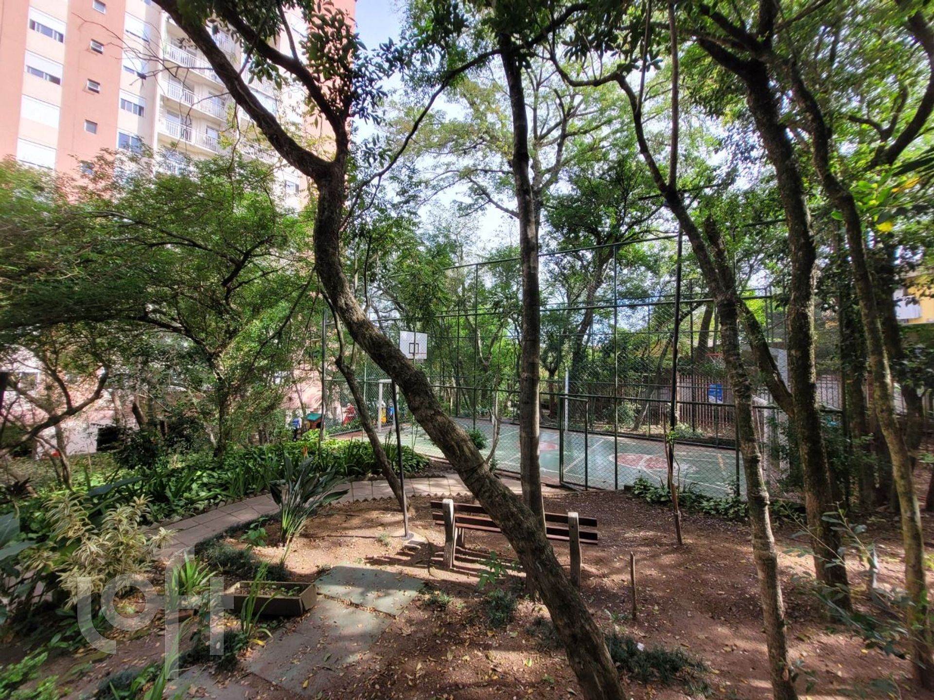 Imagem da propriedade 34