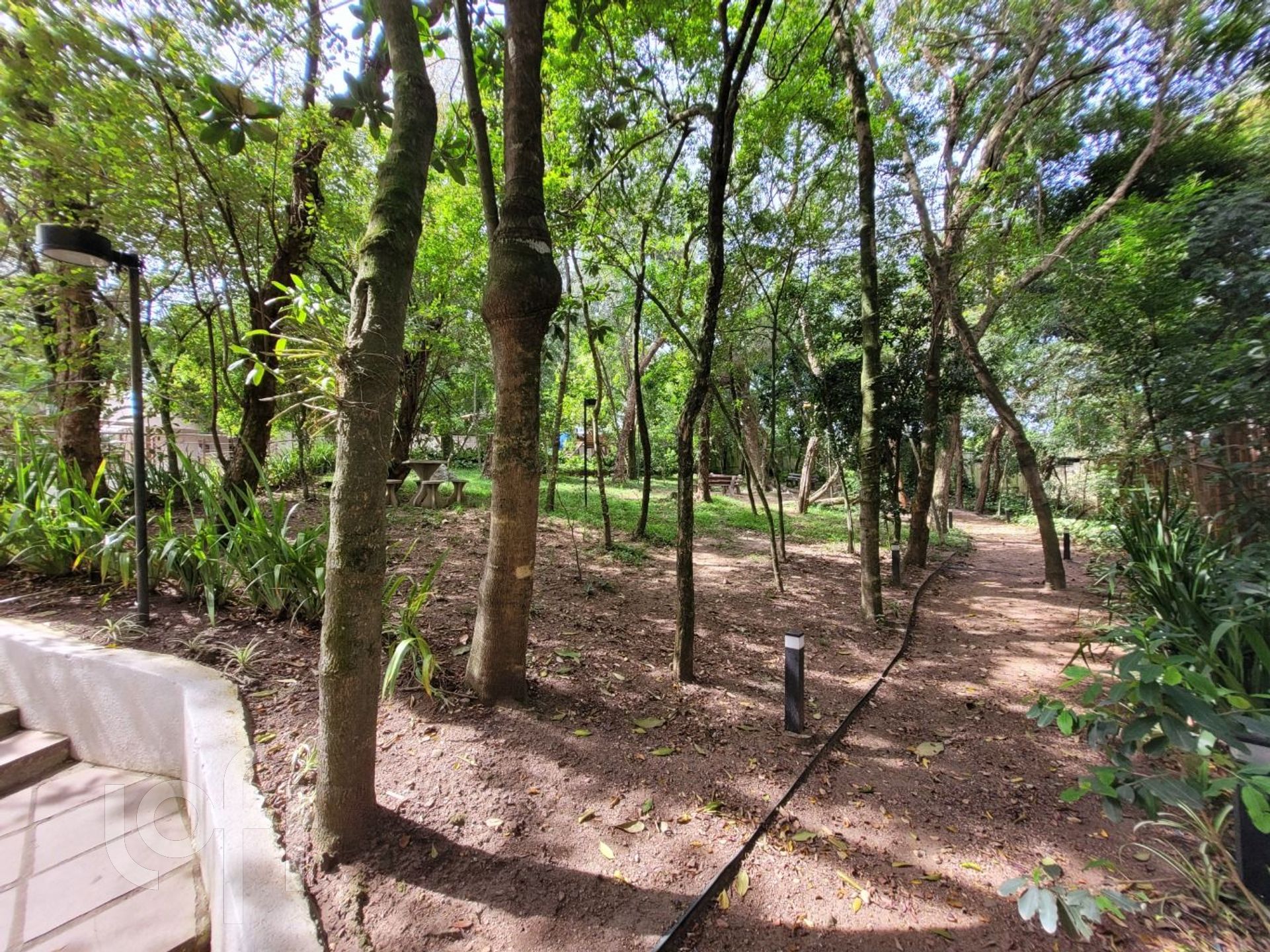 Imagem da propriedade 19