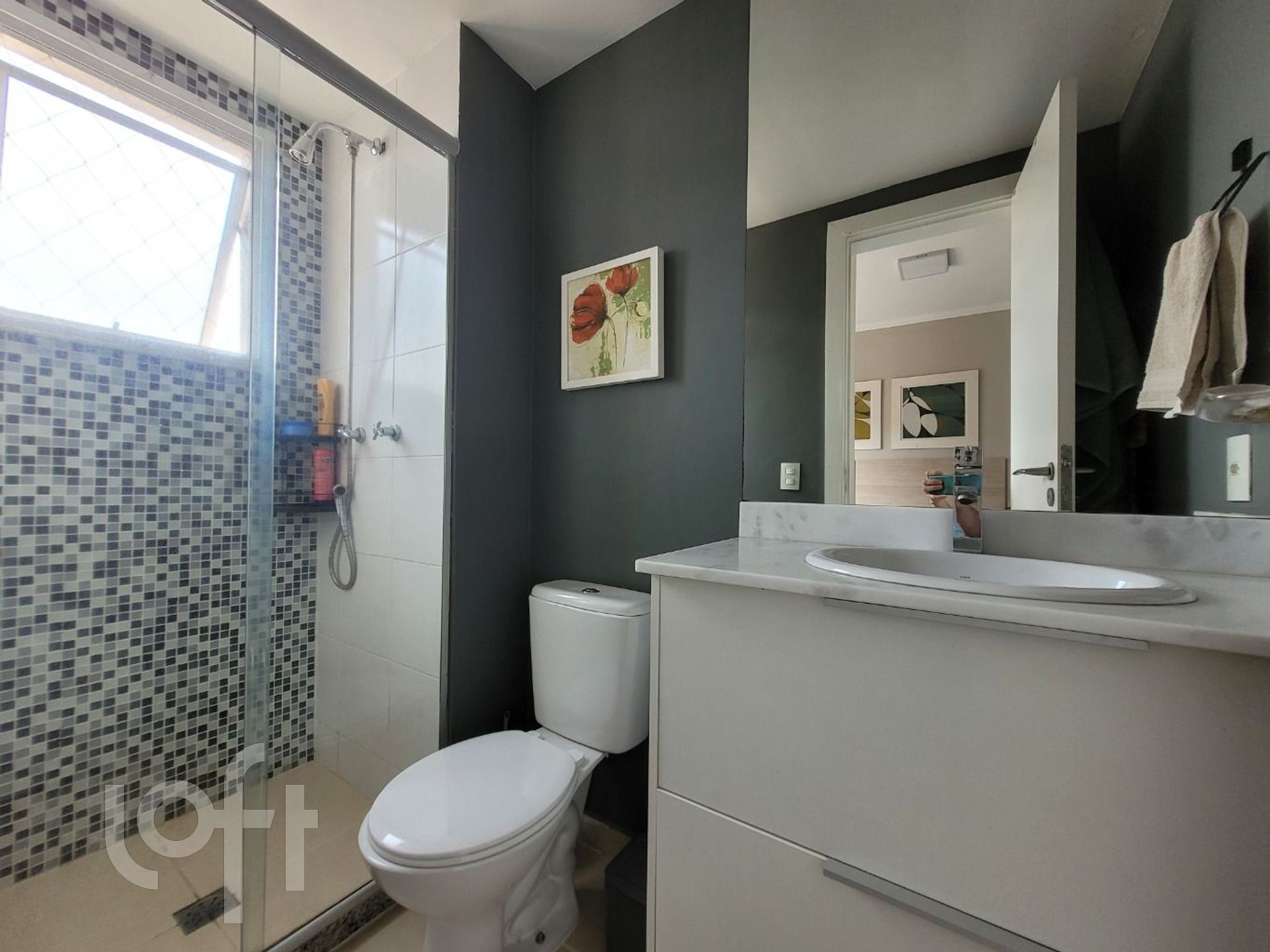 Imagem da propriedade 11