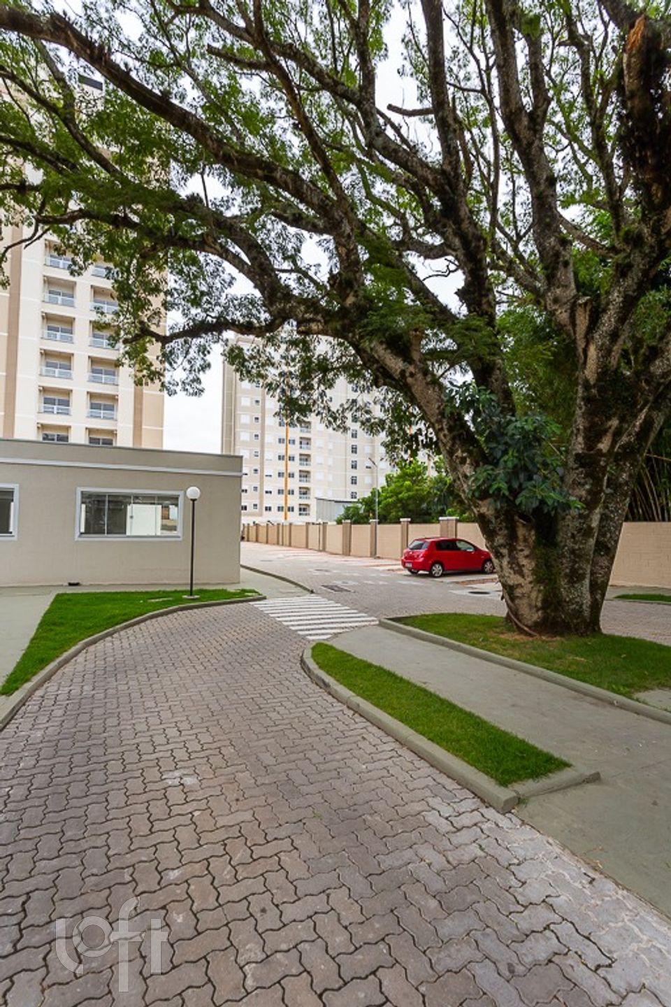 Imagem da propriedade 43