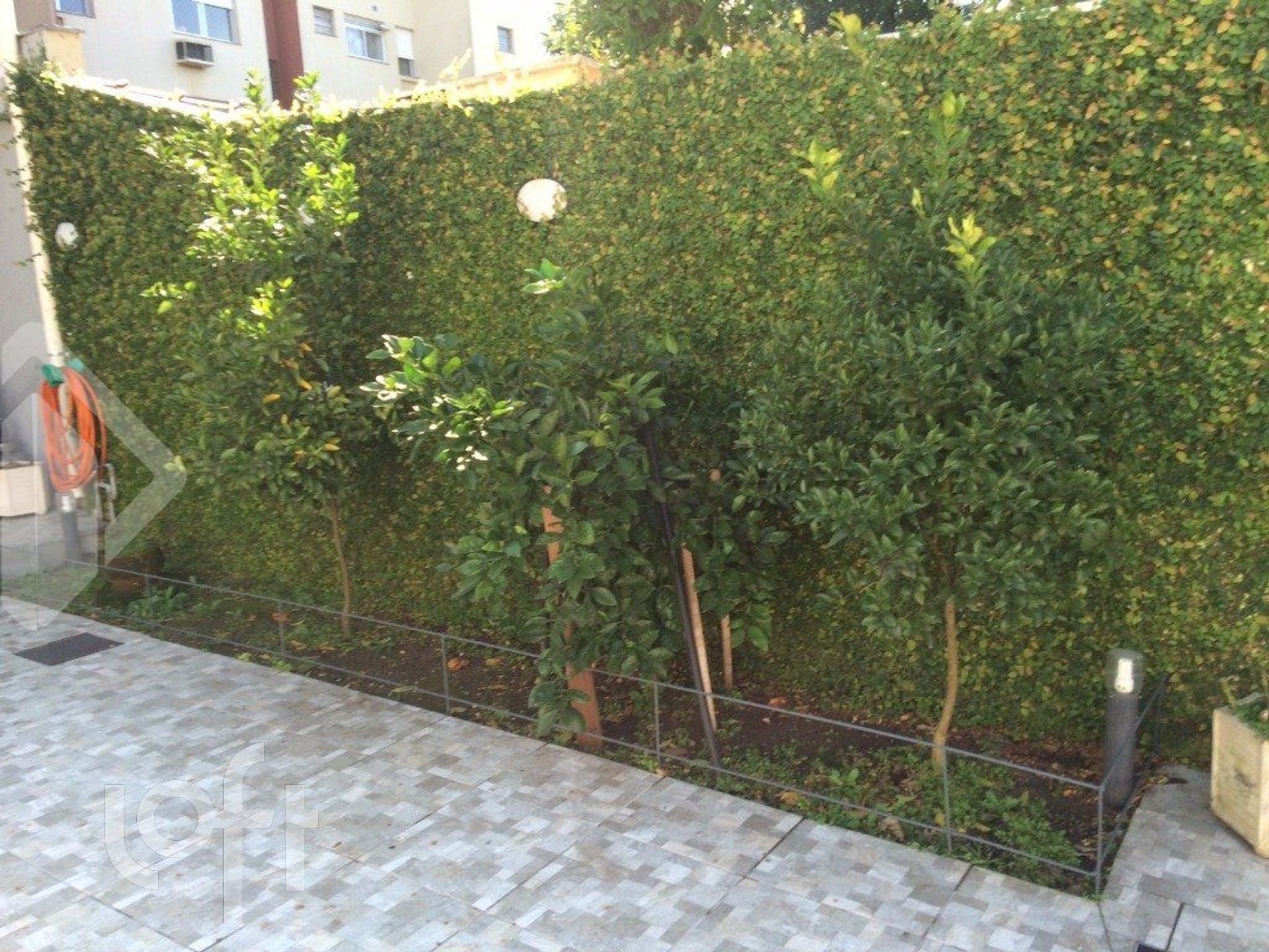 Imagem da propriedade 36