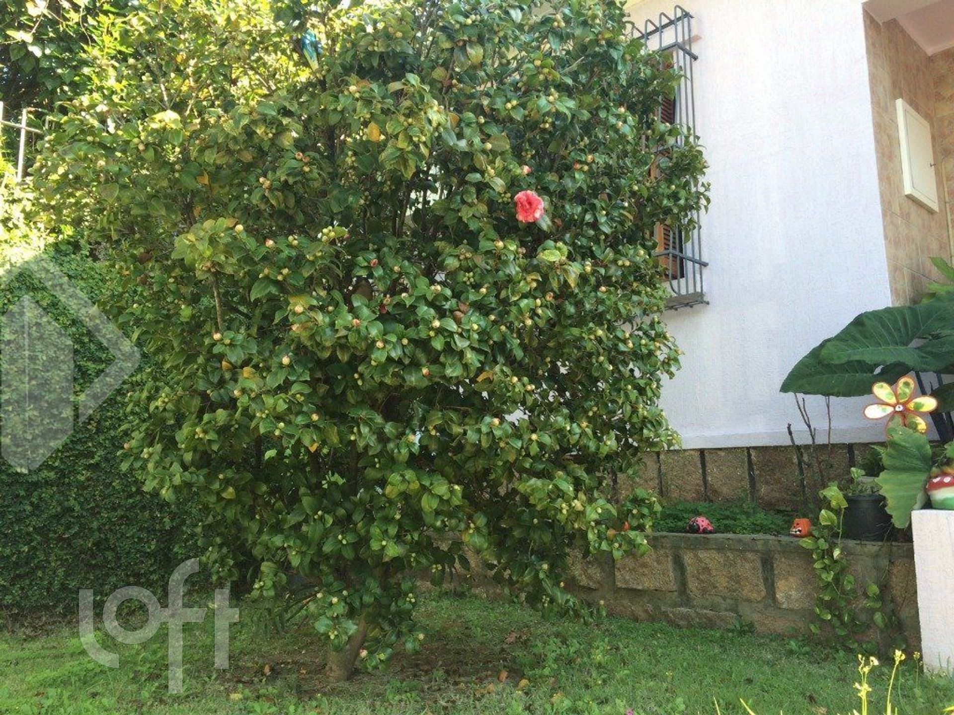 Imagem da propriedade 7