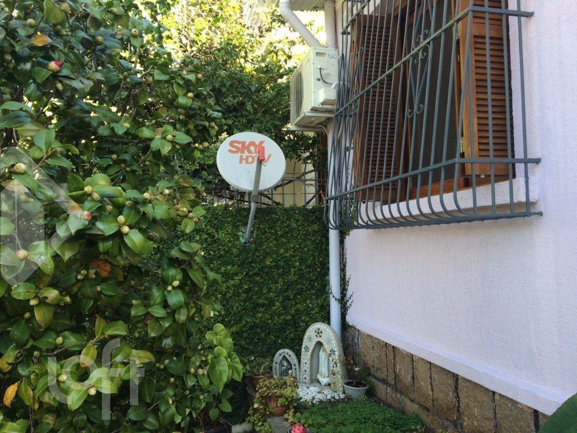 Imagem da propriedade 5