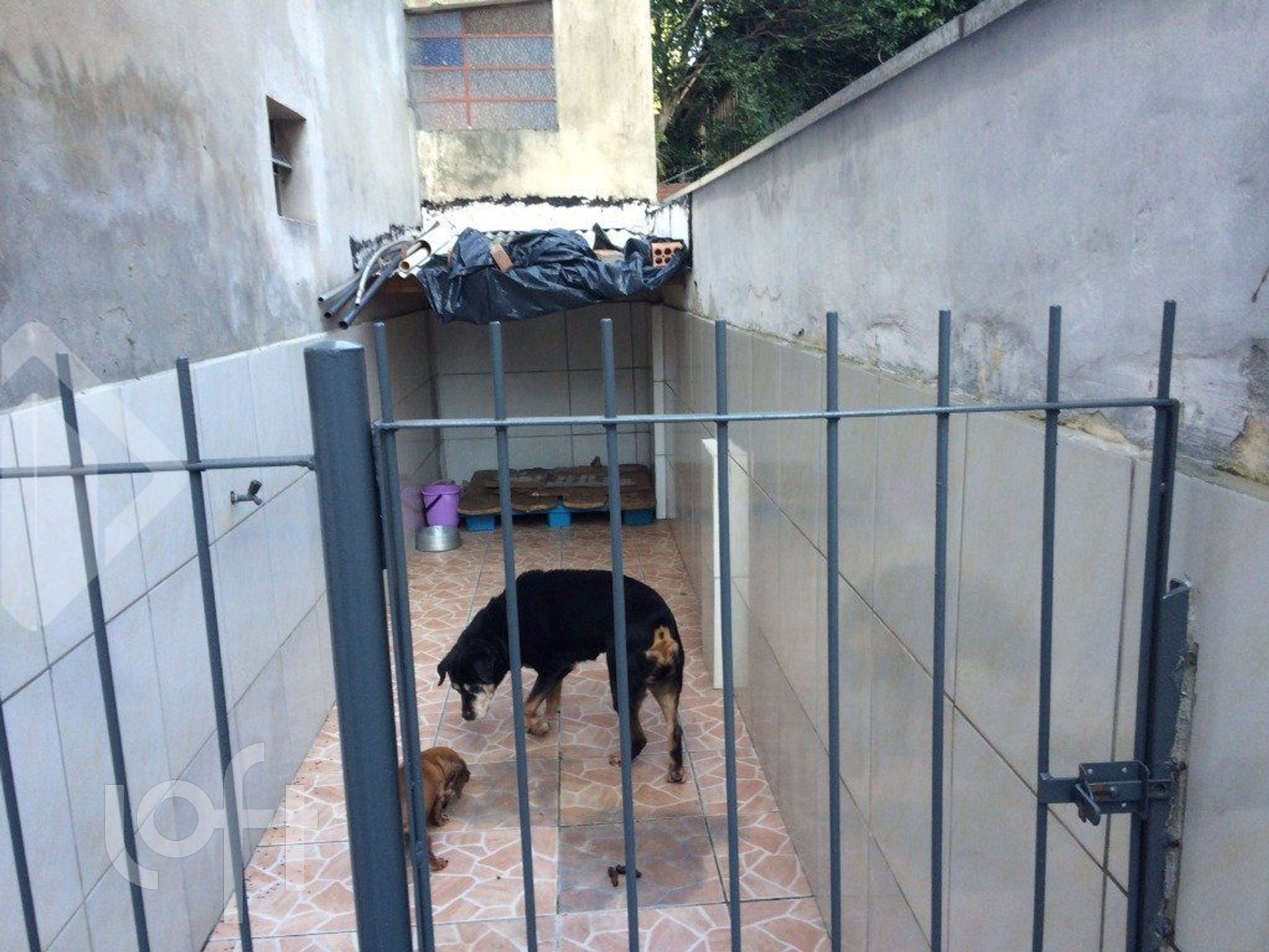 Imagem da propriedade 38