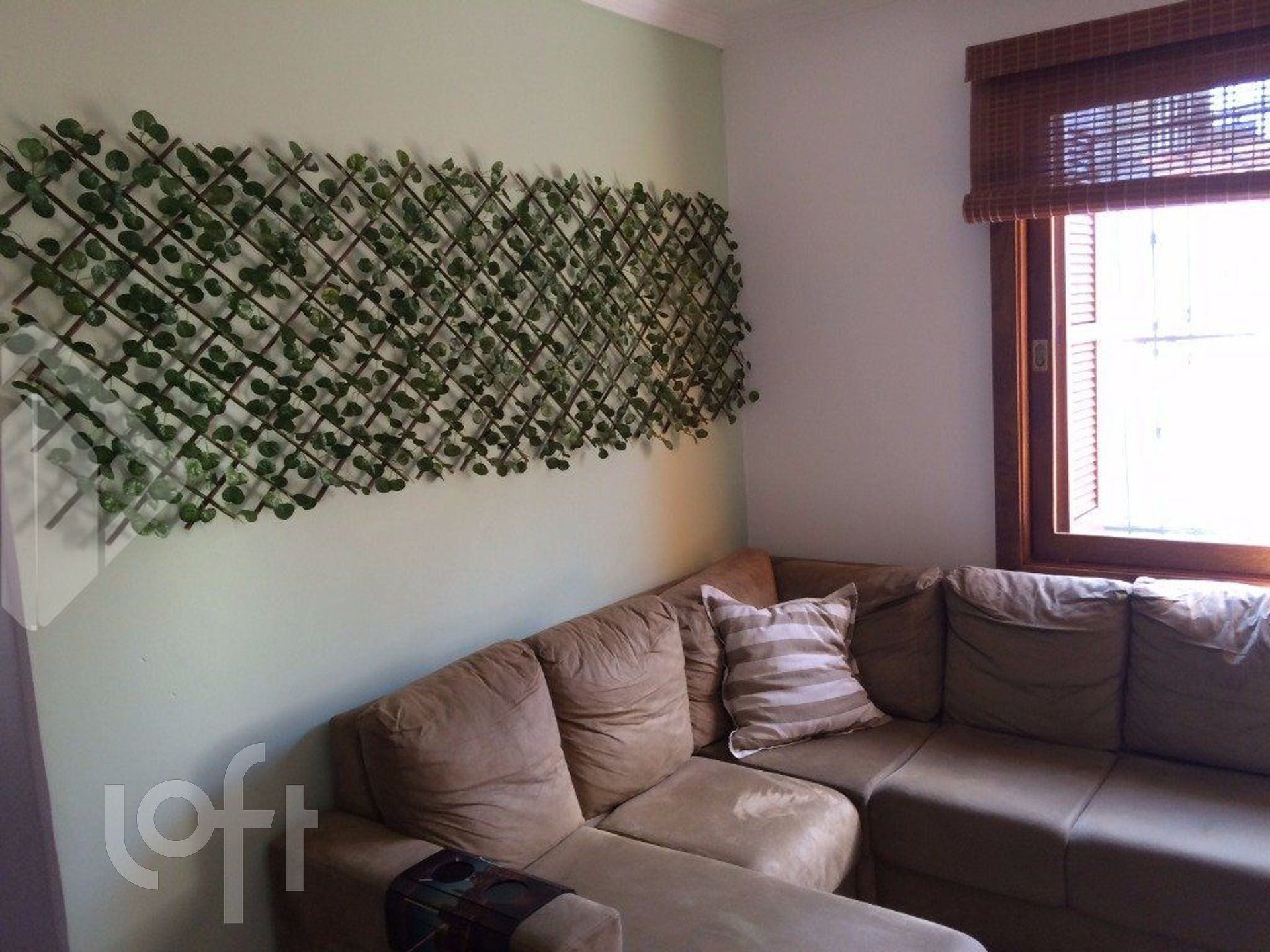 Imagem da propriedade 9