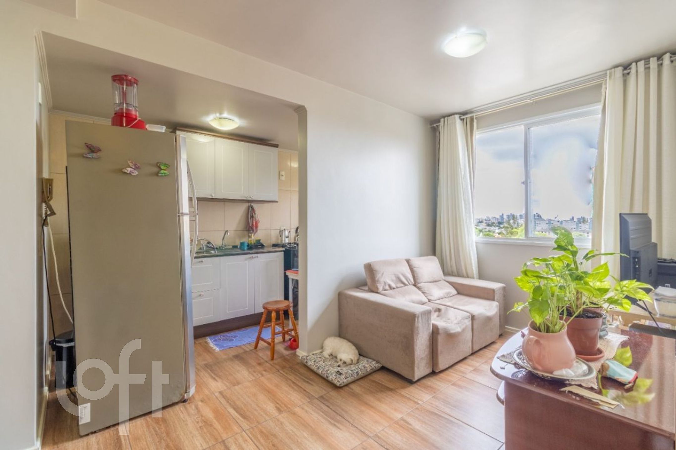 Imagem da propriedade 2