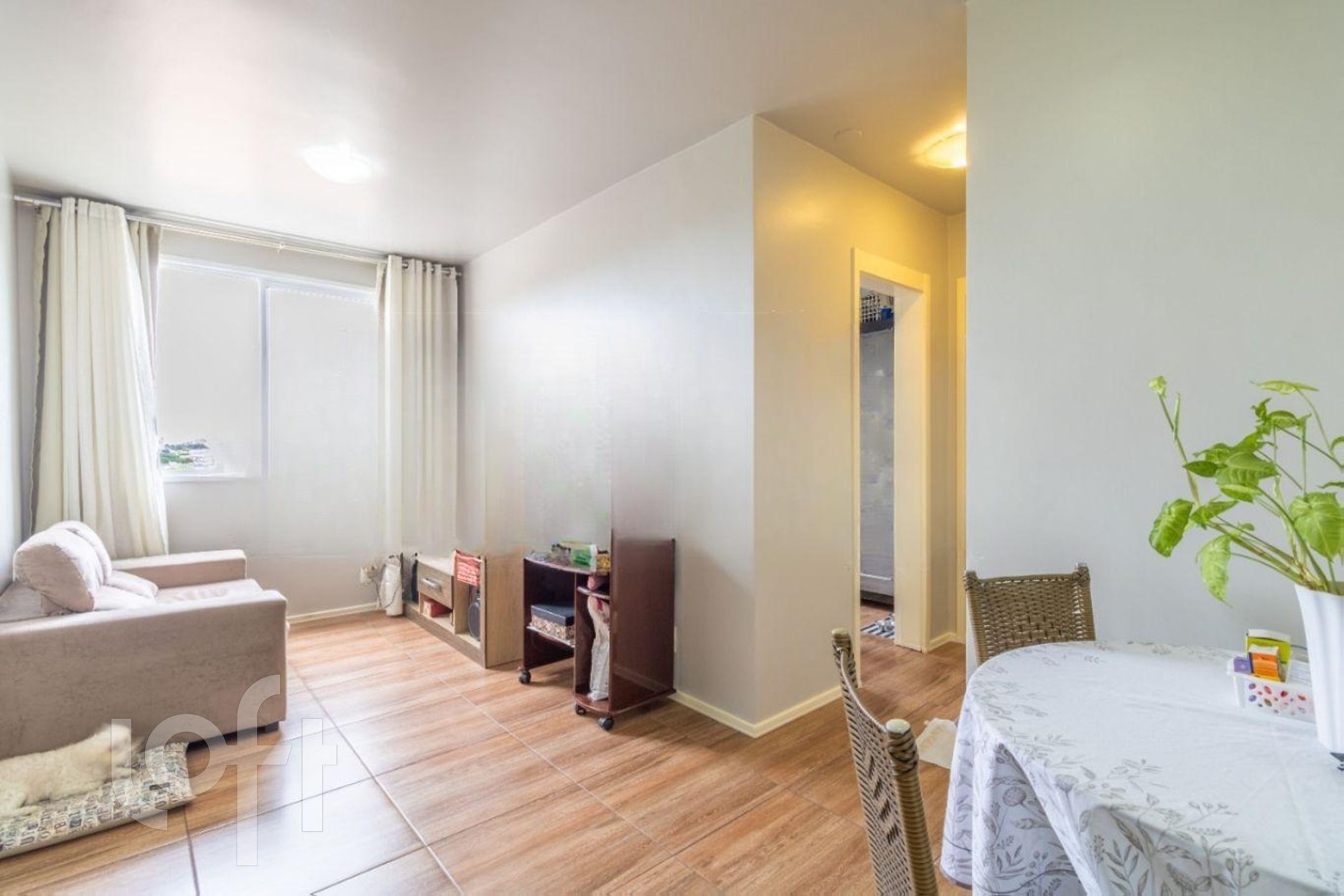 Imagem da propriedade 4