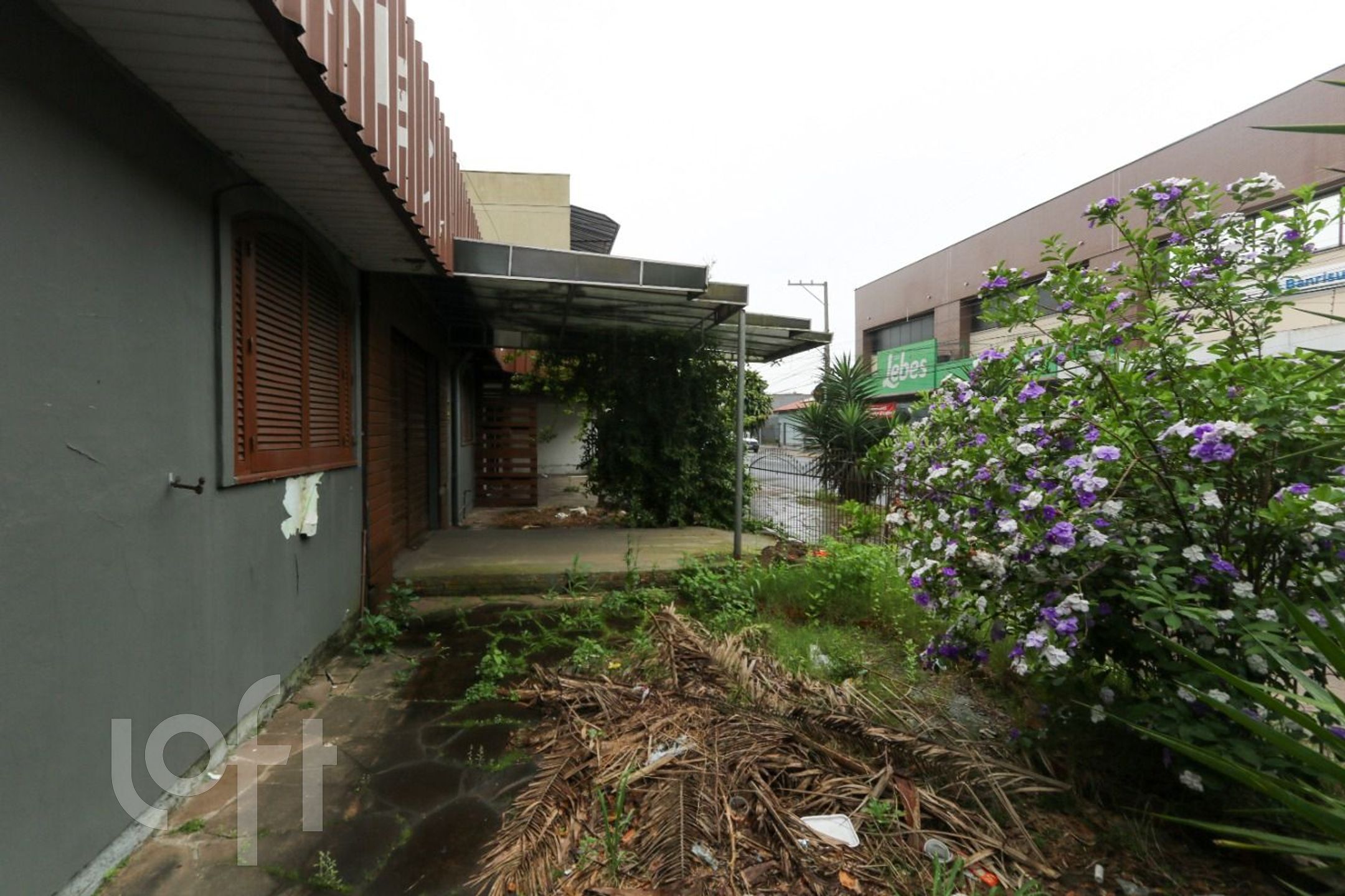 Imagem da propriedade 13