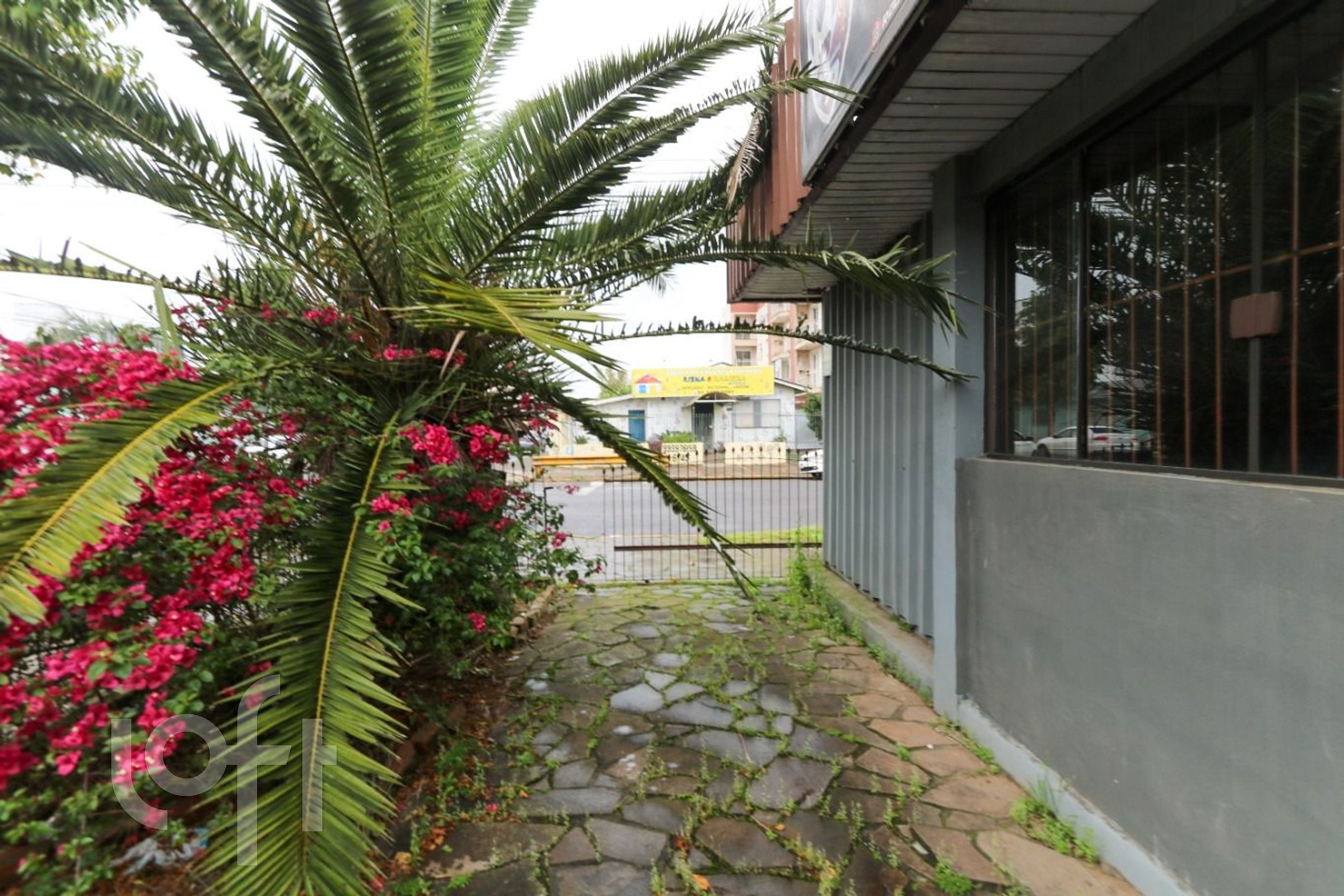 Imagem da propriedade 14