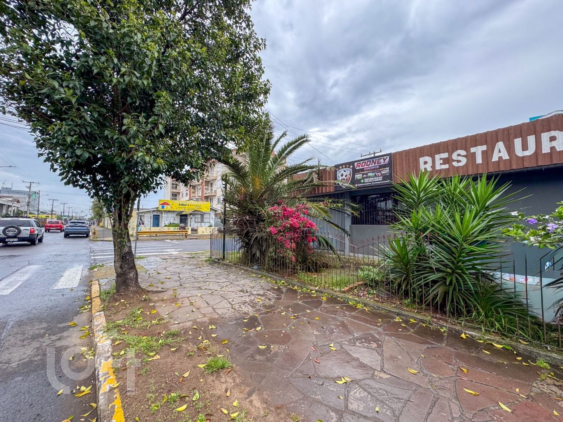 Imagem da propriedade 8