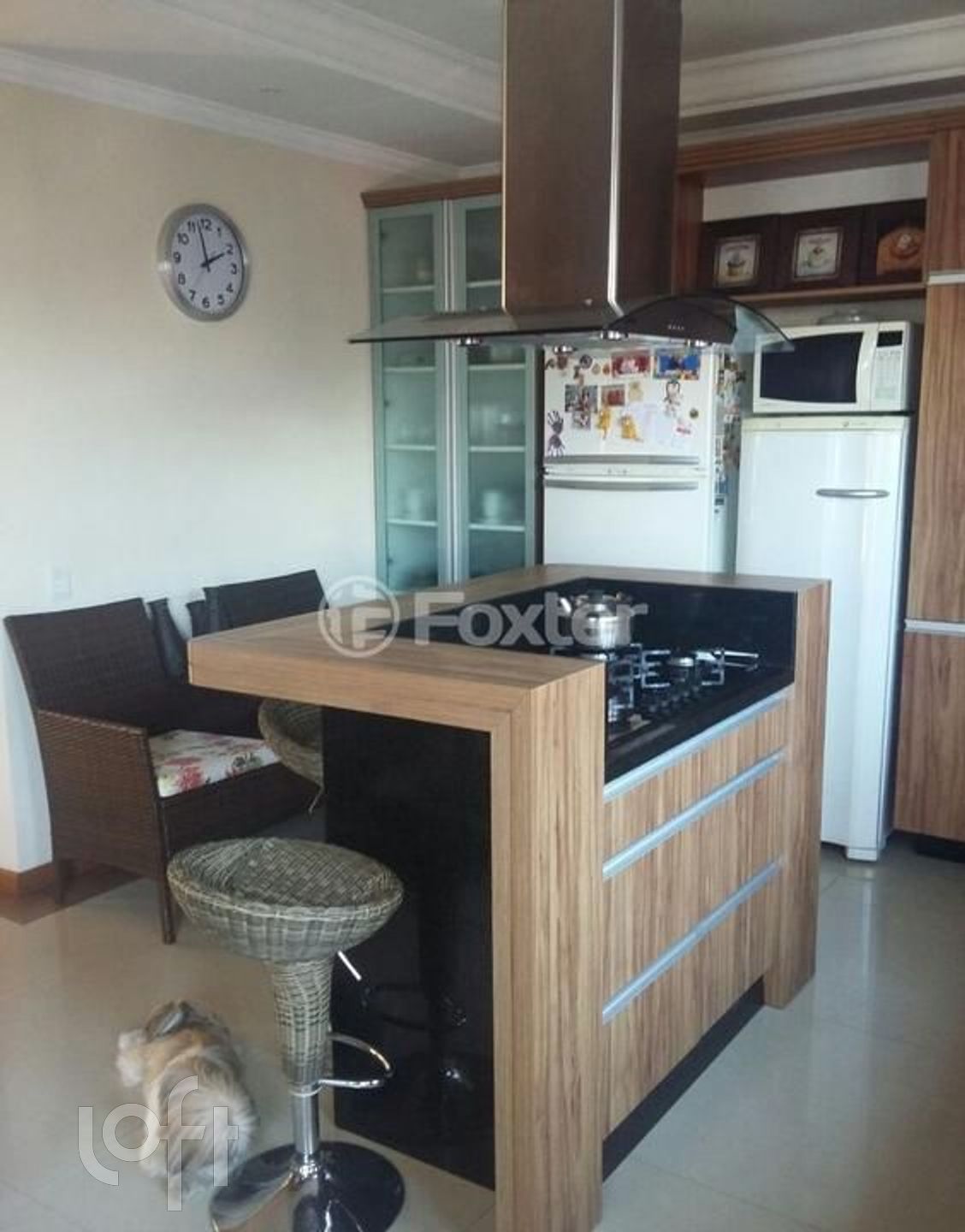 Imagem da propriedade 19