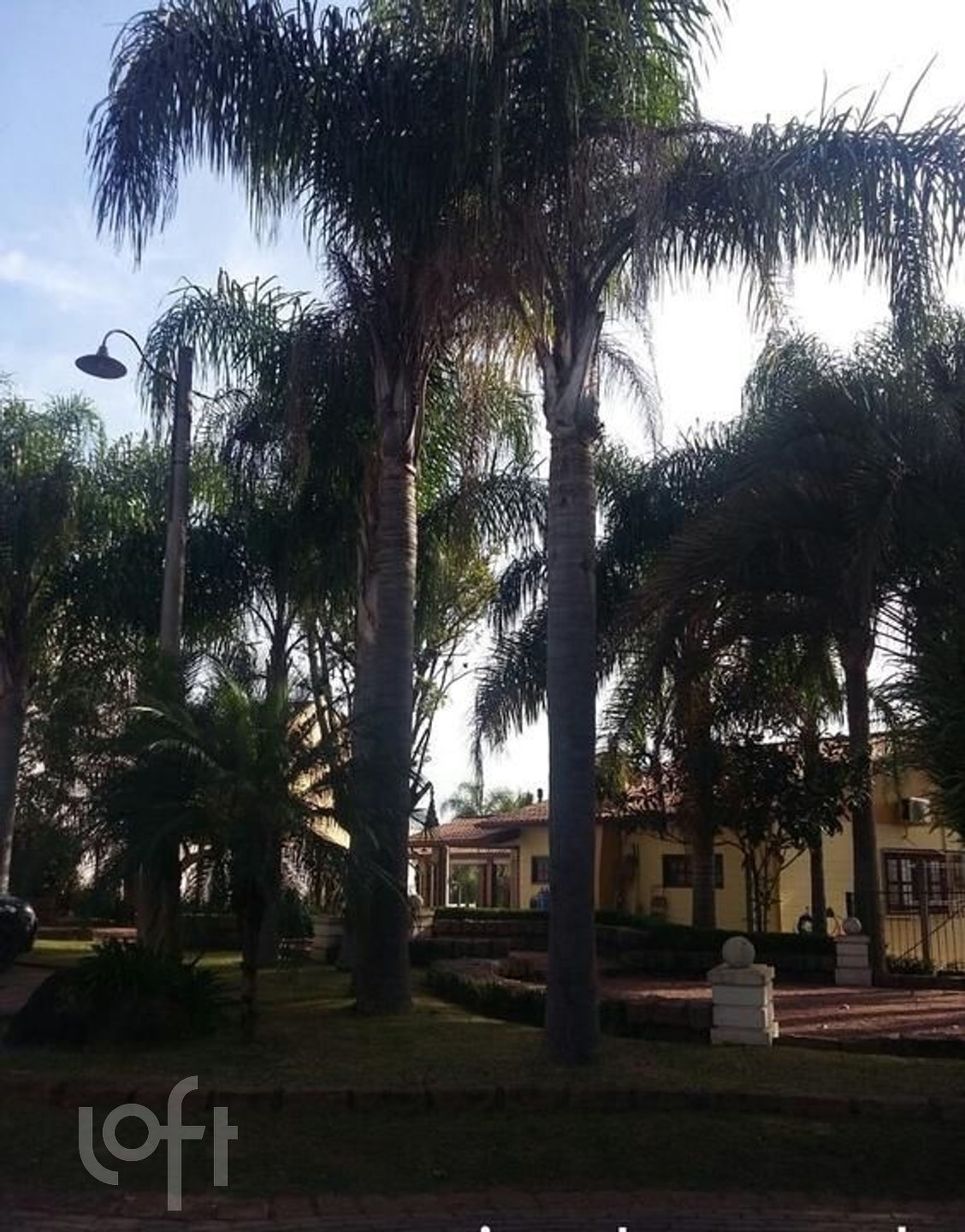 Imagem da propriedade 11