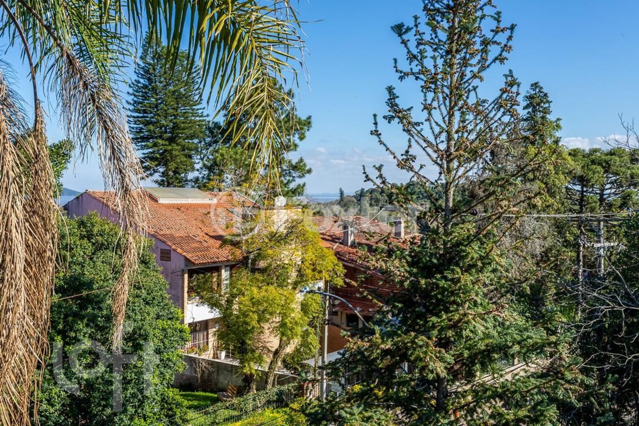 Imagem da propriedade 47