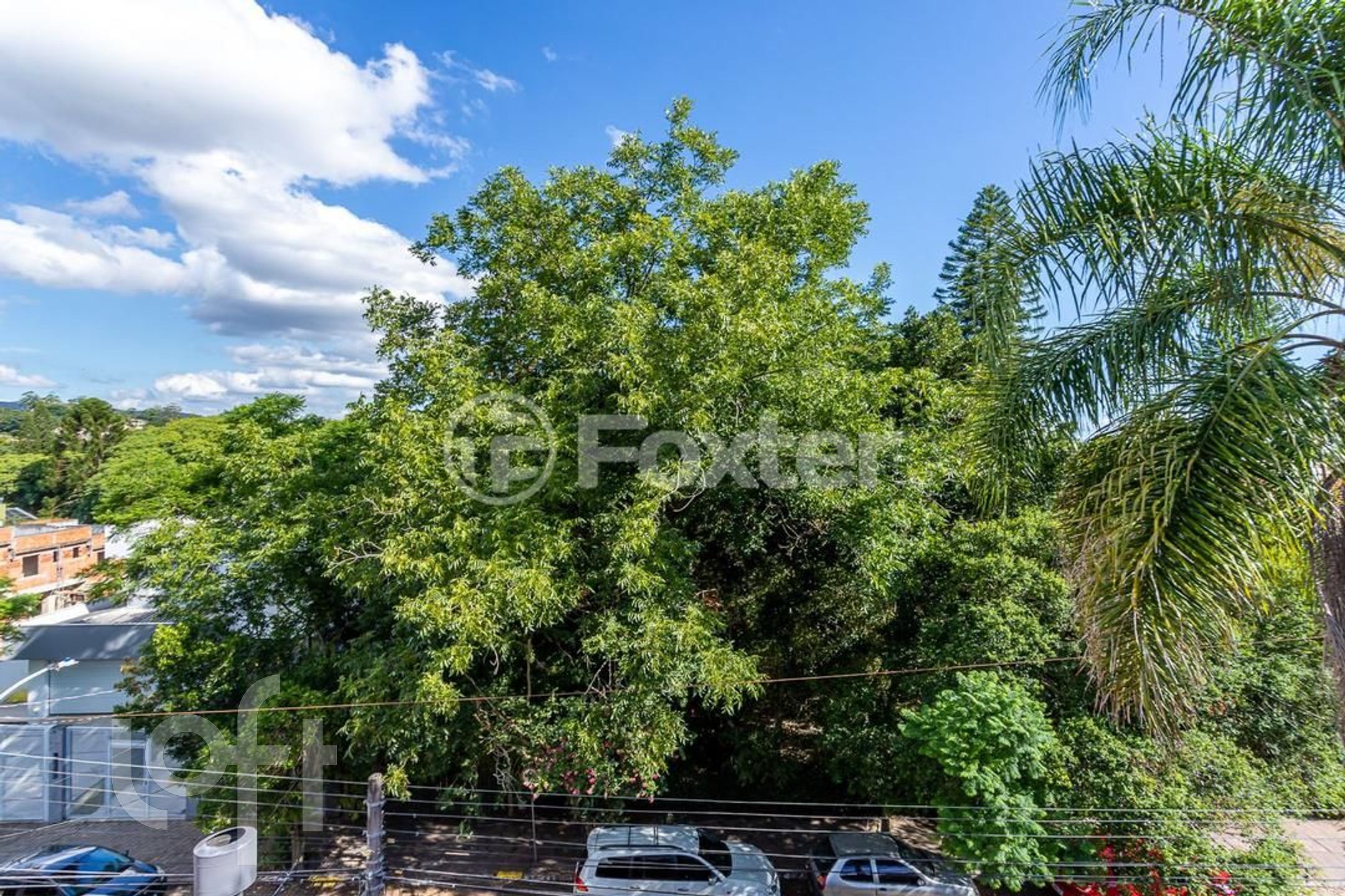 Imagem da propriedade 44