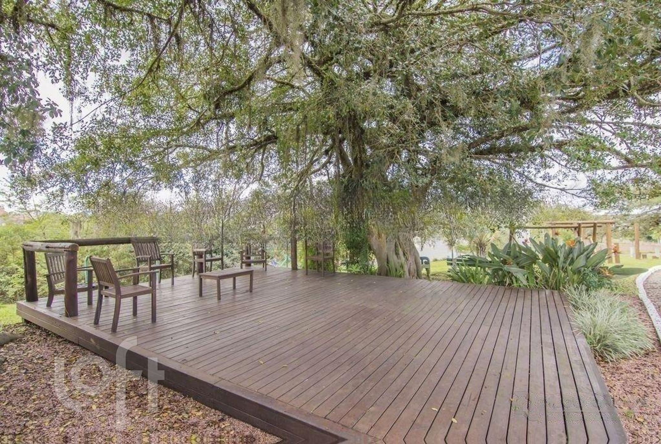 Imagem da propriedade 40