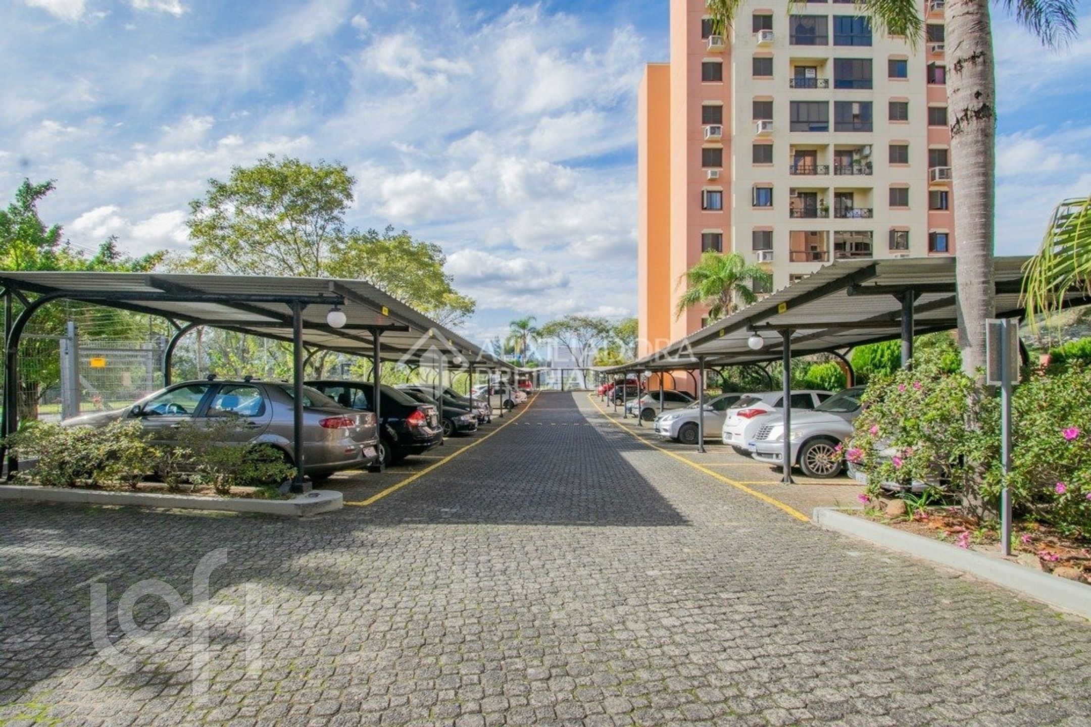 Imagem da propriedade 32