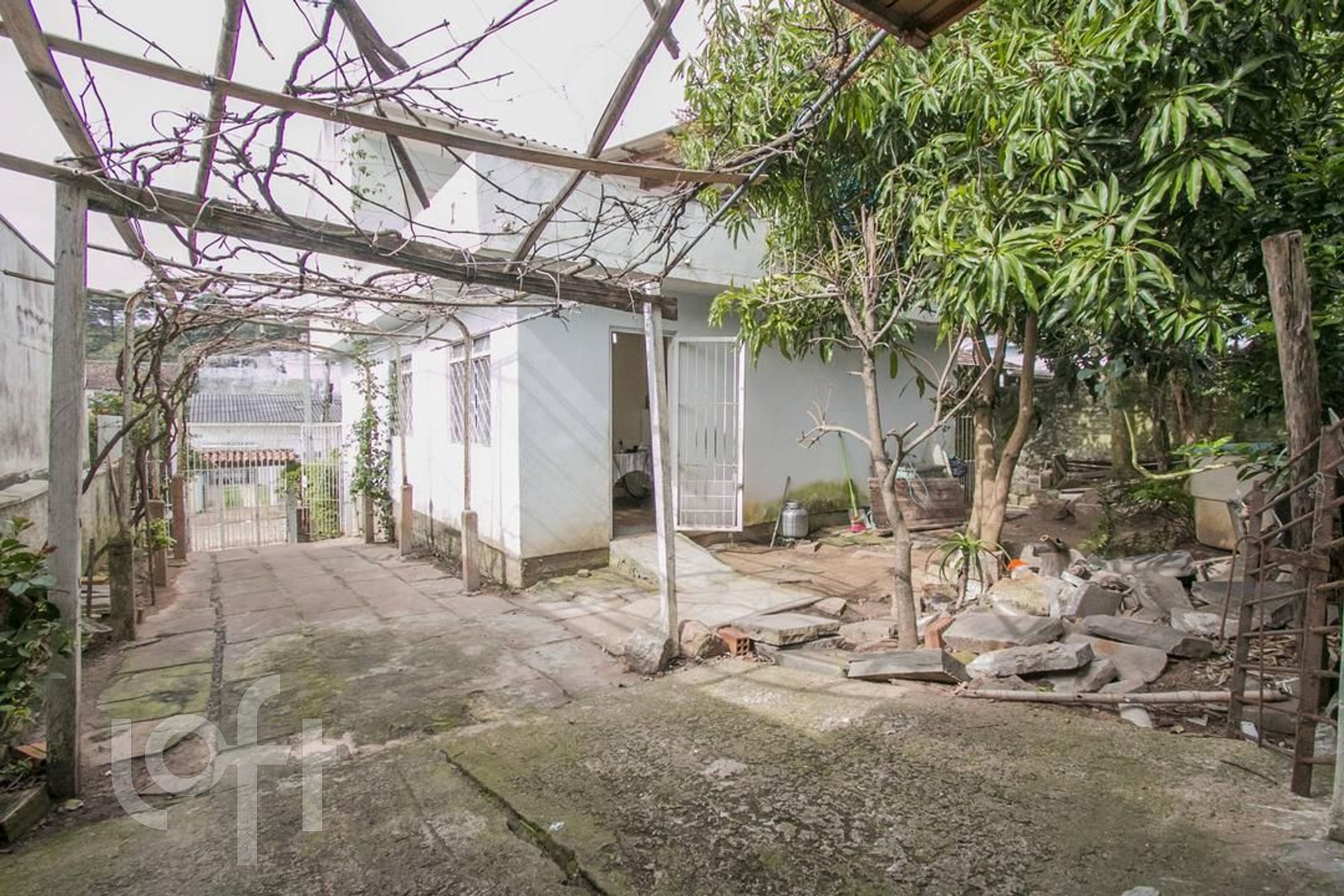 Imagem da propriedade 21