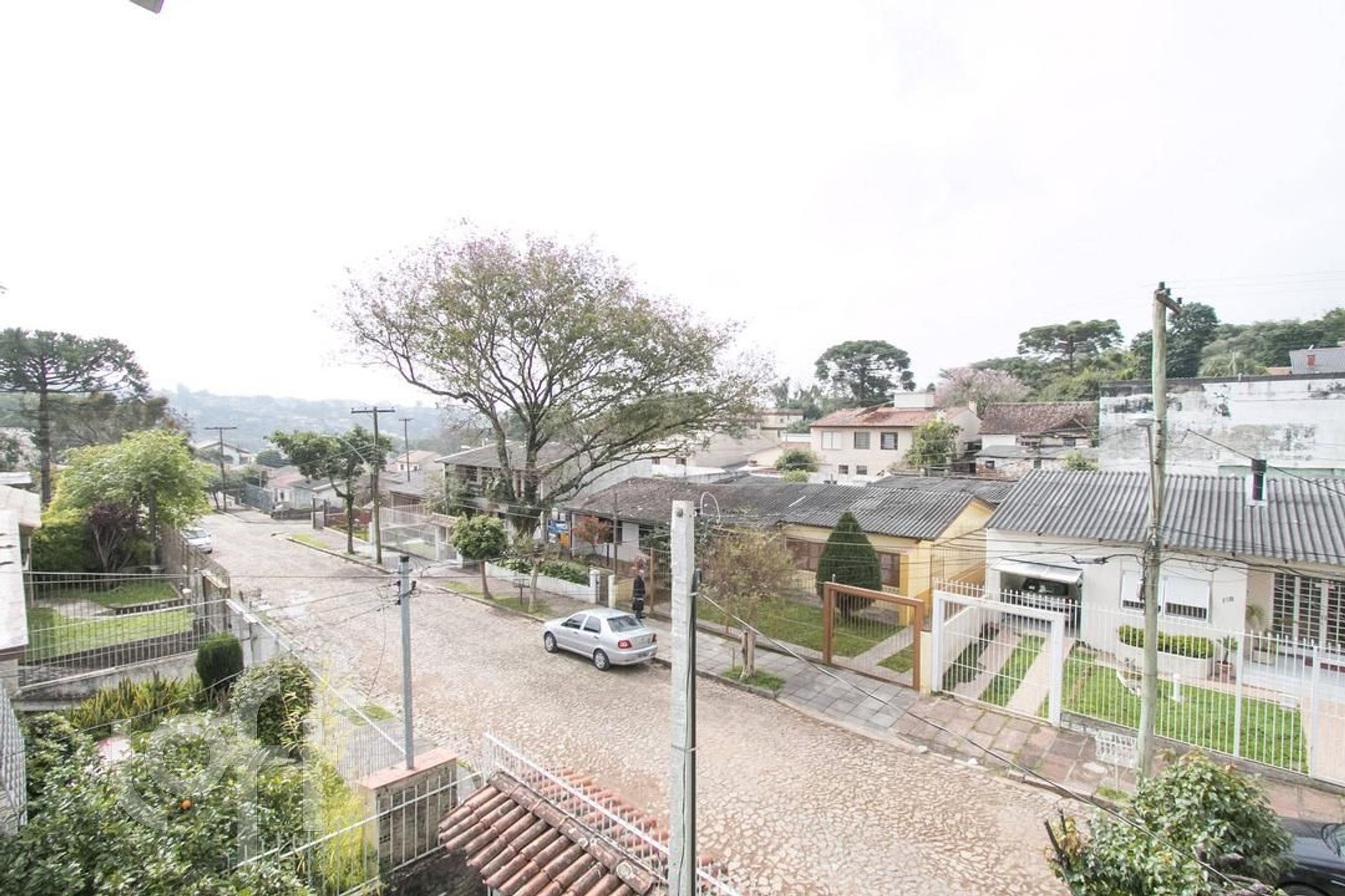 Imagem da propriedade 12