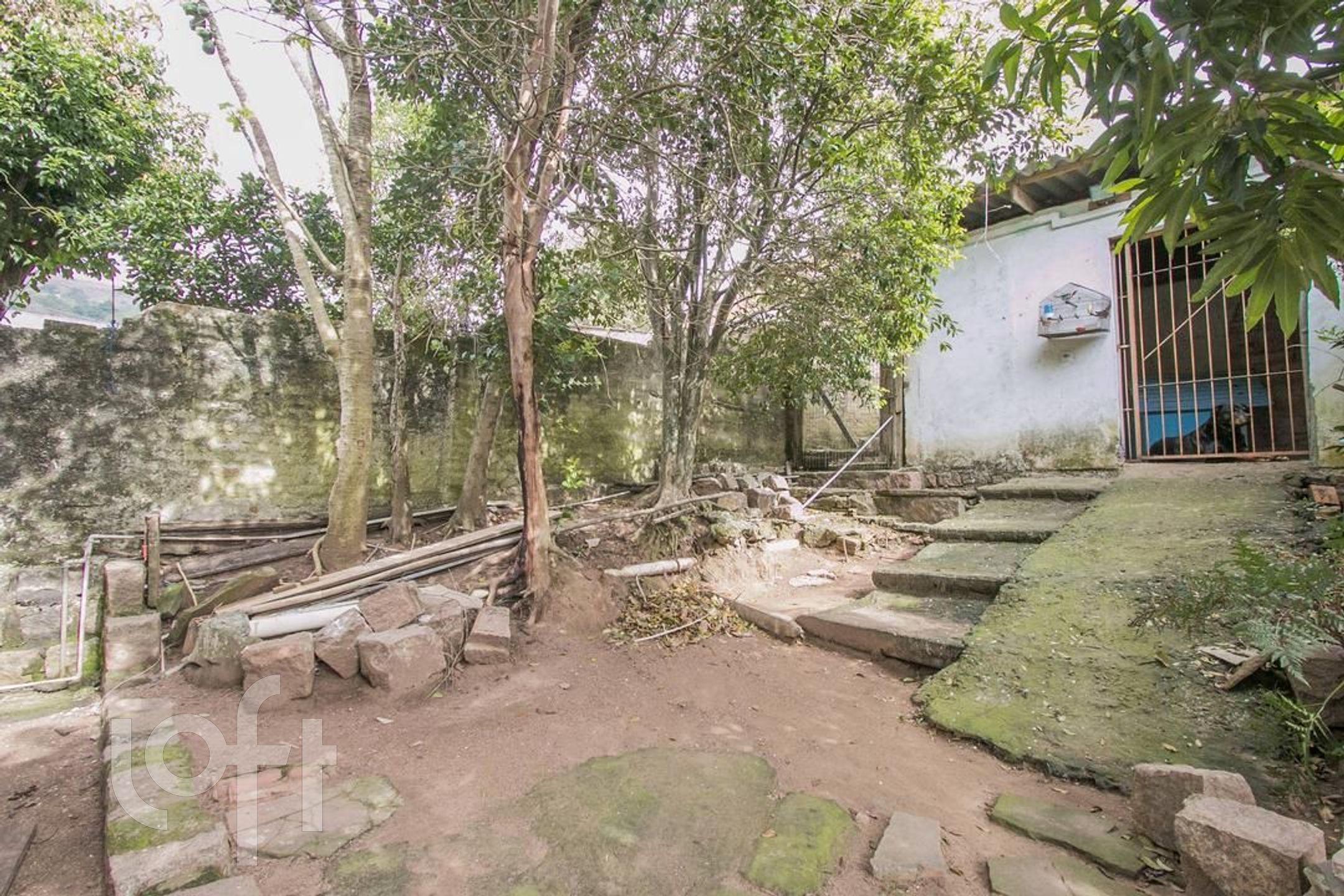 Imagem da propriedade 19