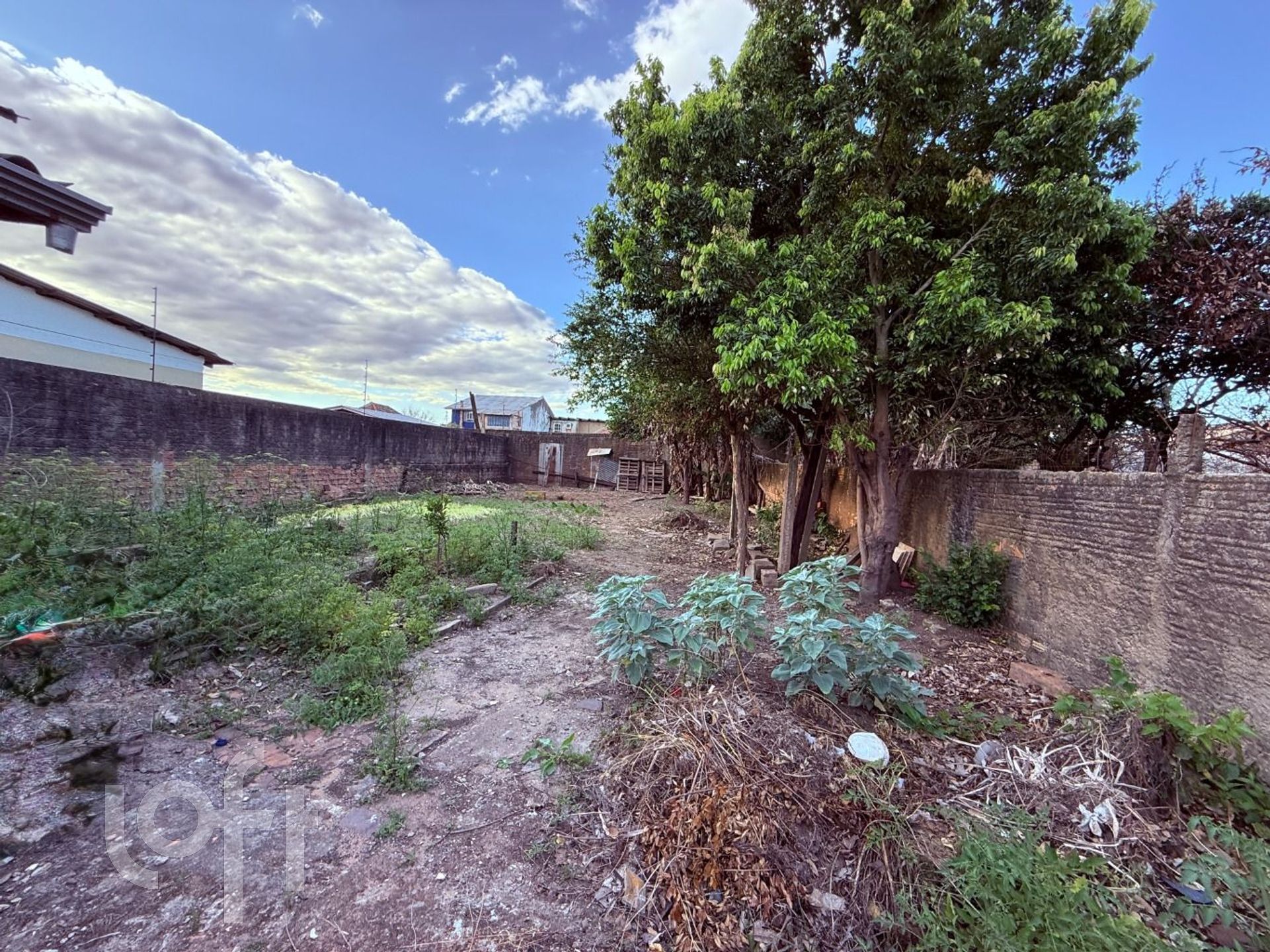 Imagem da propriedade 36