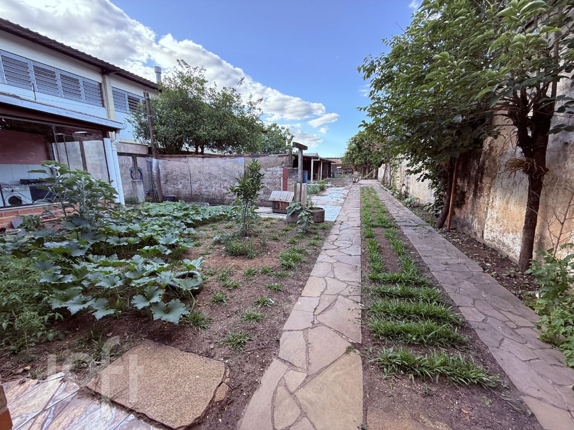 Imagem da propriedade 33