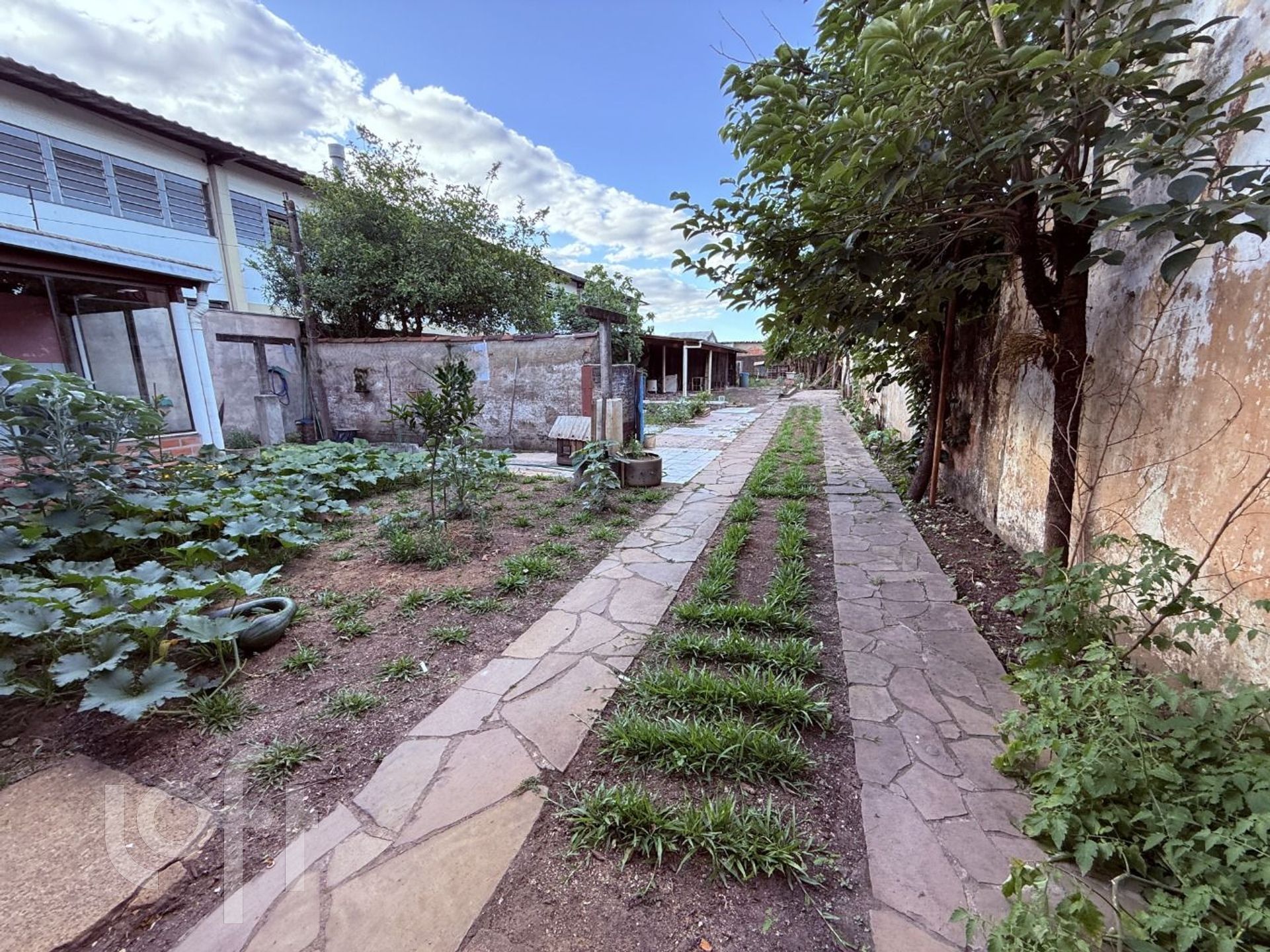 Imagem da propriedade 34