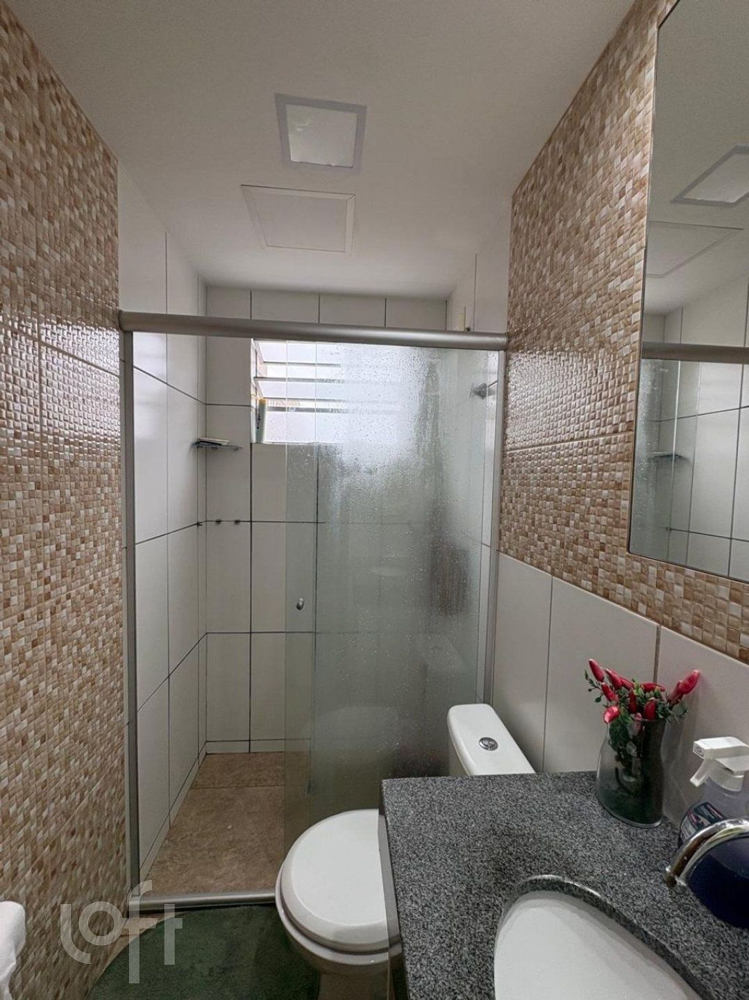 Imagem da propriedade 33