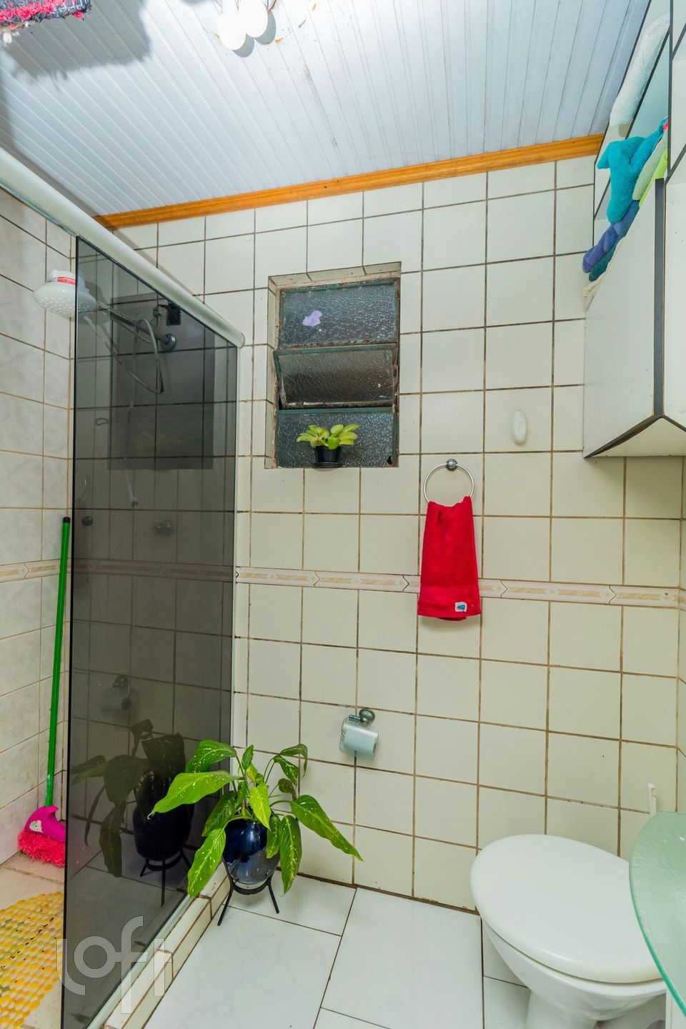 Imagem da propriedade 11