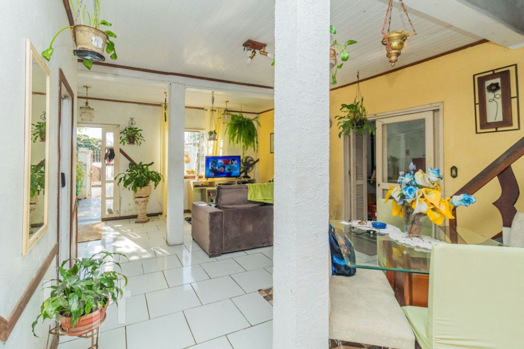 Imagem da propriedade 3