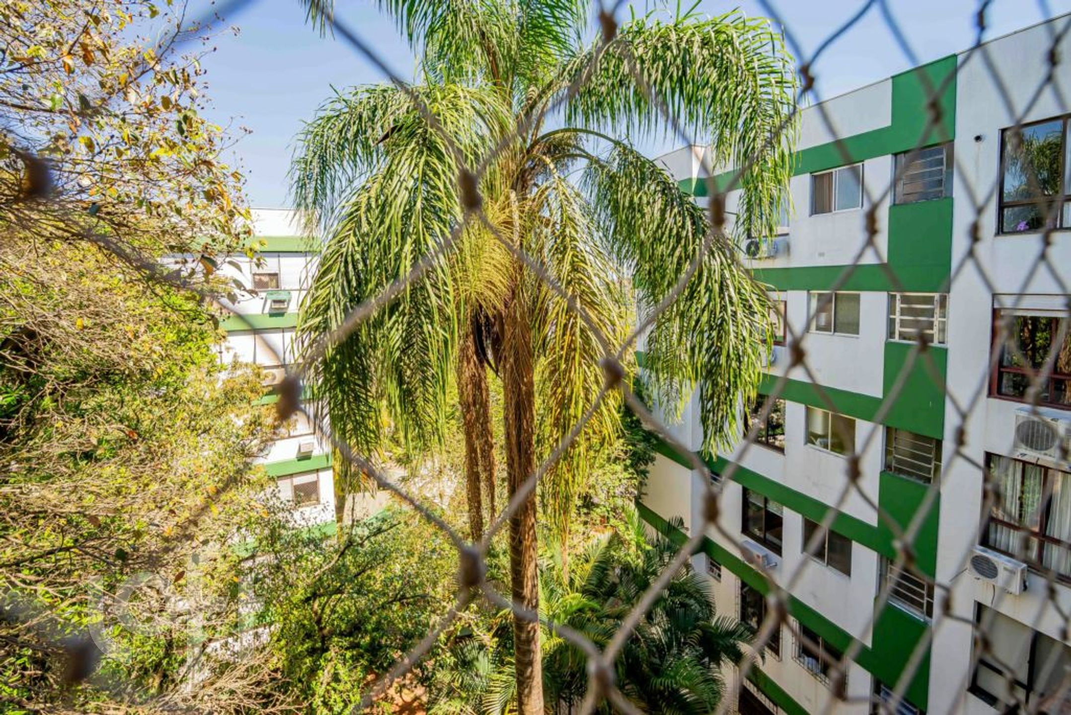 Imagem da propriedade 17