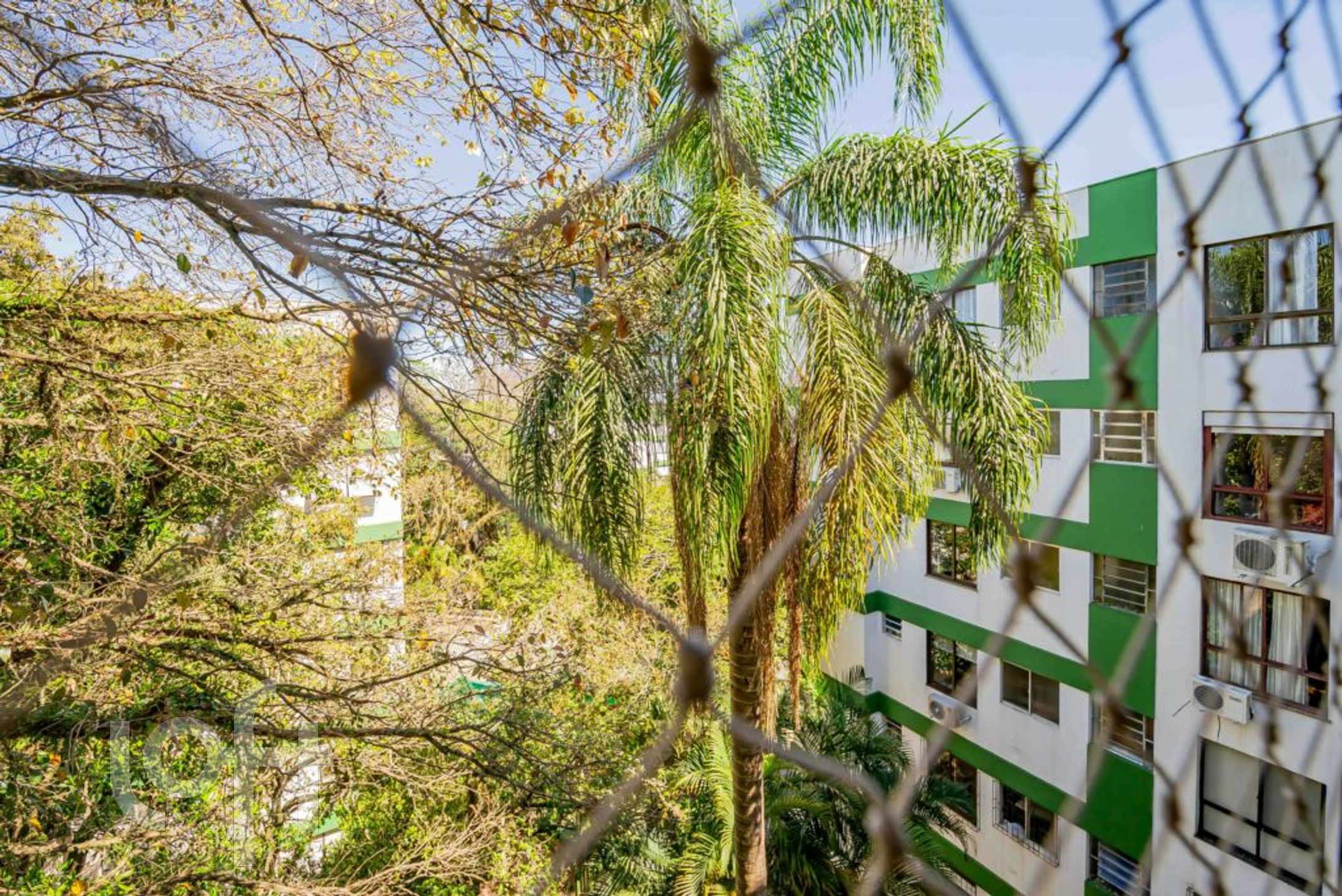 Imagem da propriedade 12