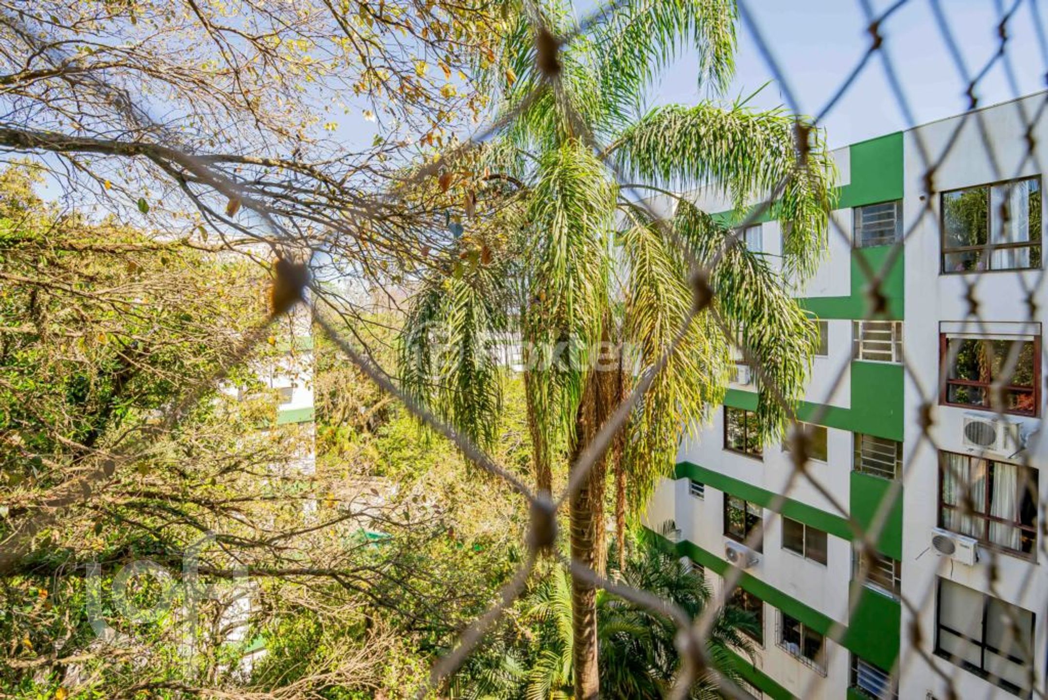 Imagem da propriedade 12