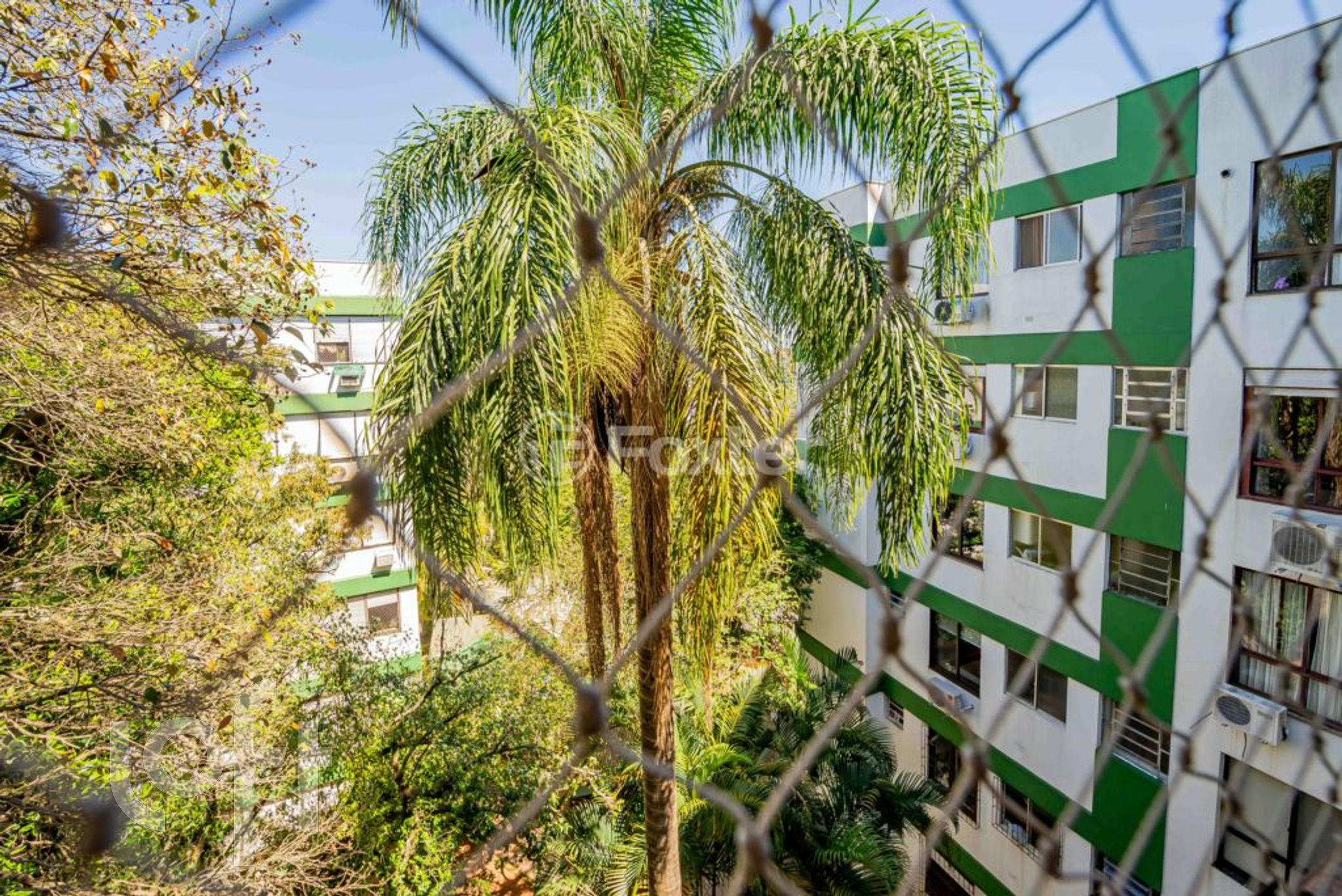 Imagem da propriedade 17