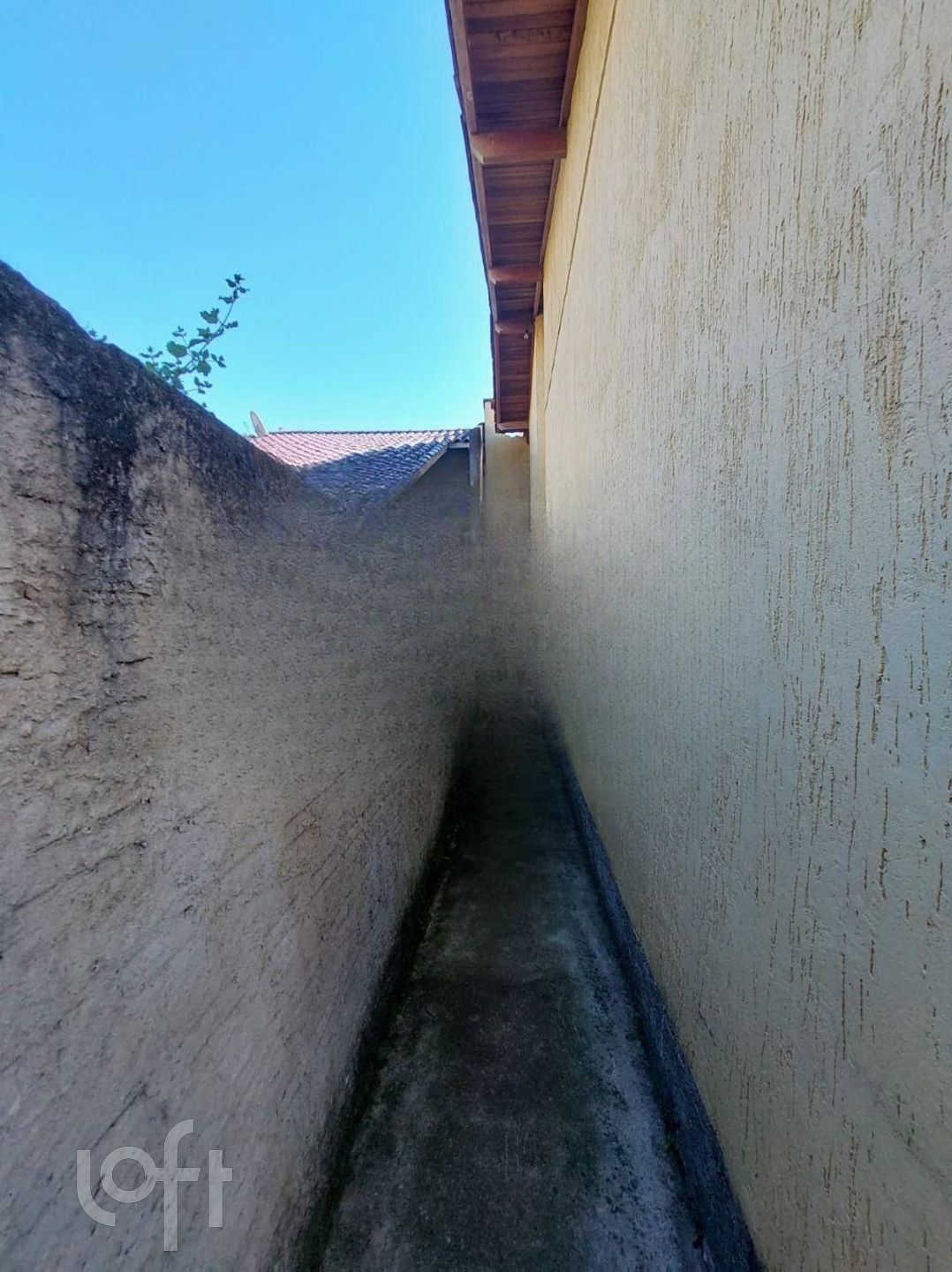 Imagem da propriedade 18