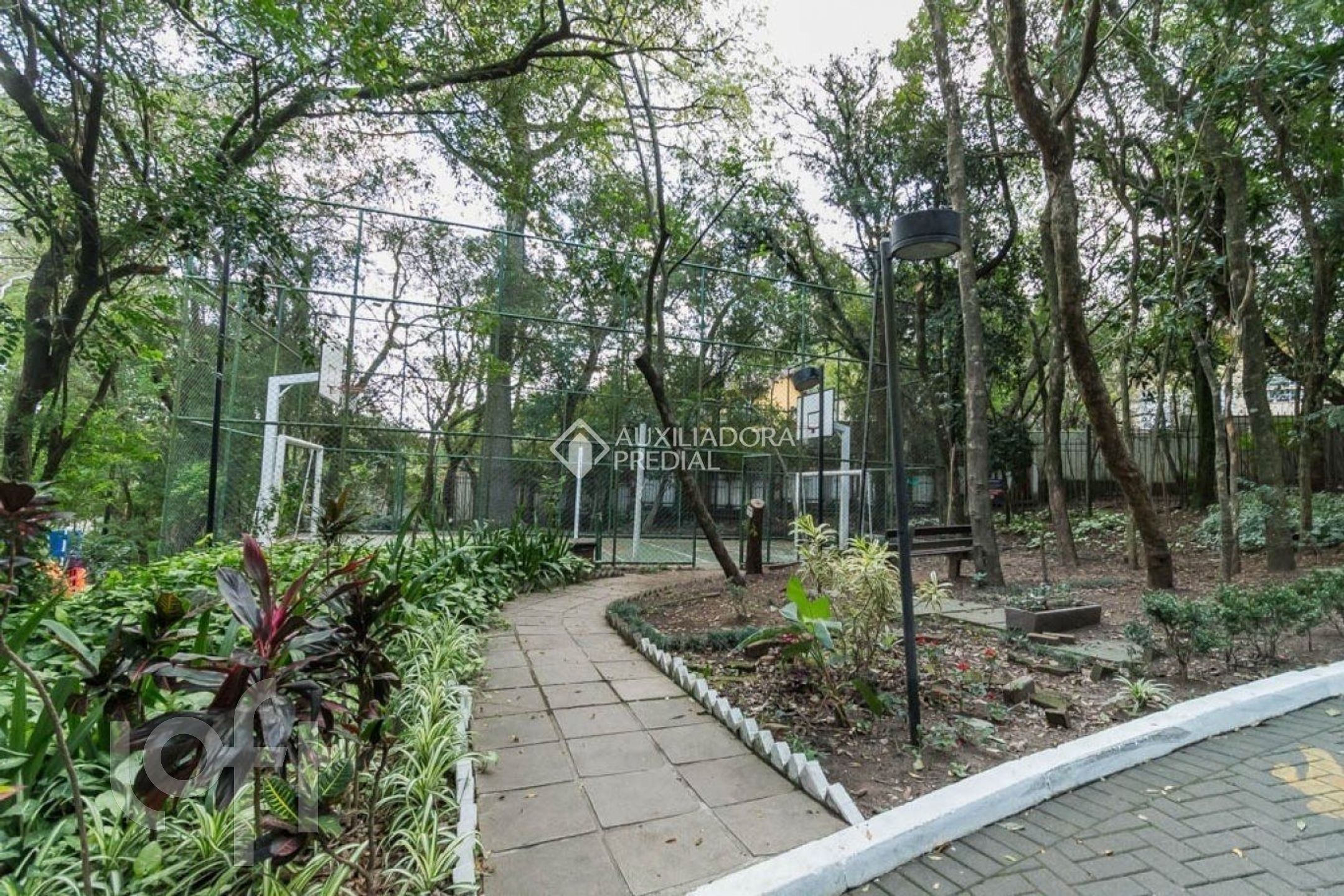 Imagem da propriedade 28