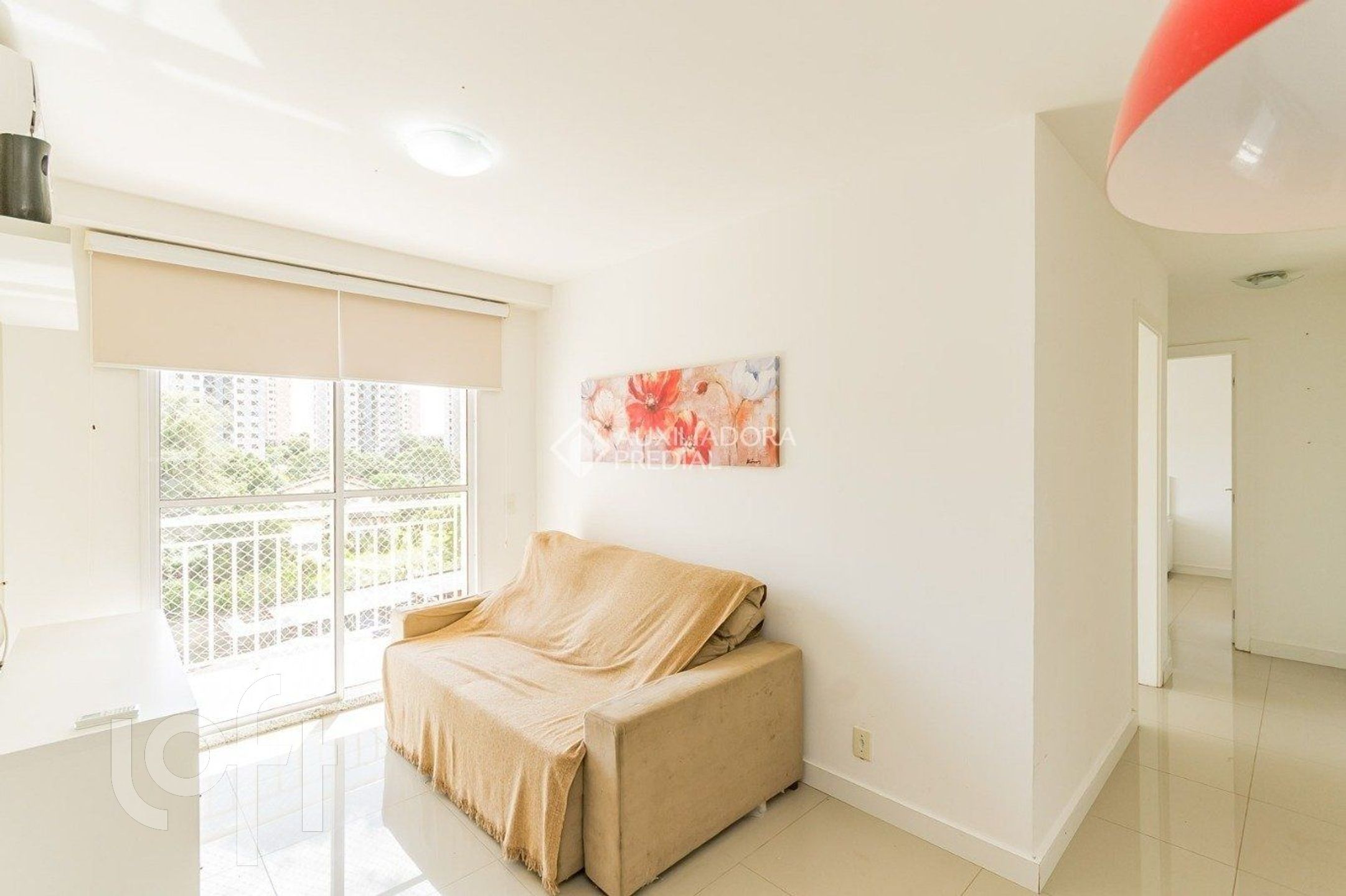 Imagem da propriedade 3