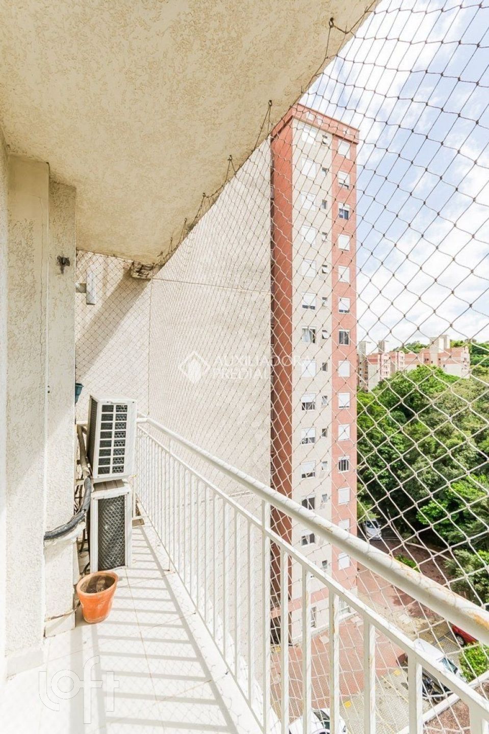 Imagem da propriedade 6