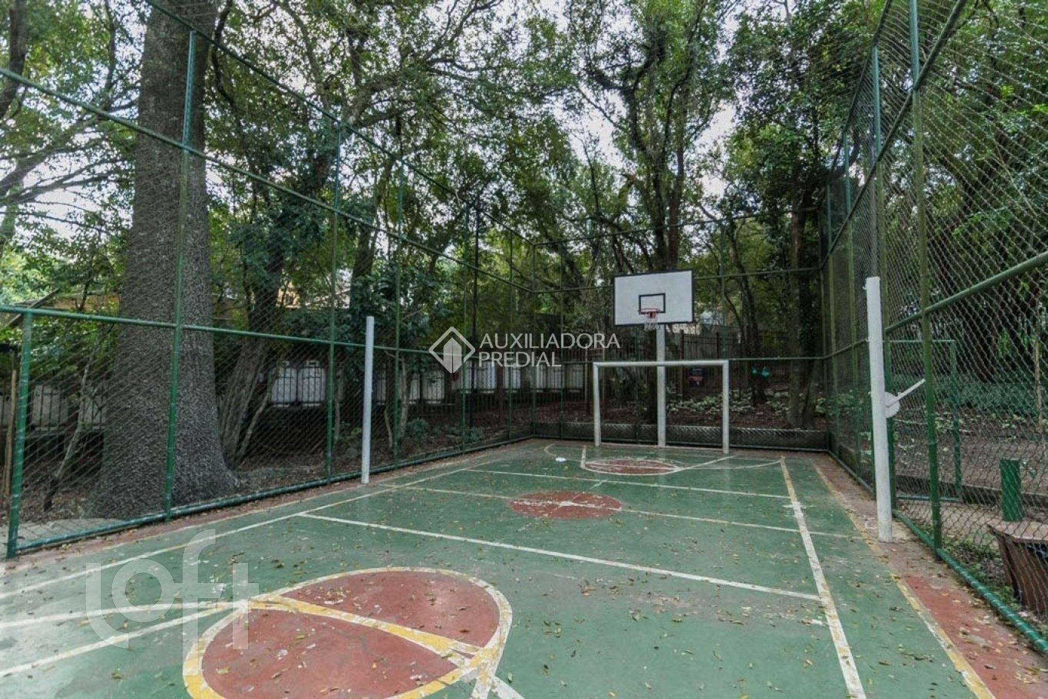 Imagem da propriedade 27