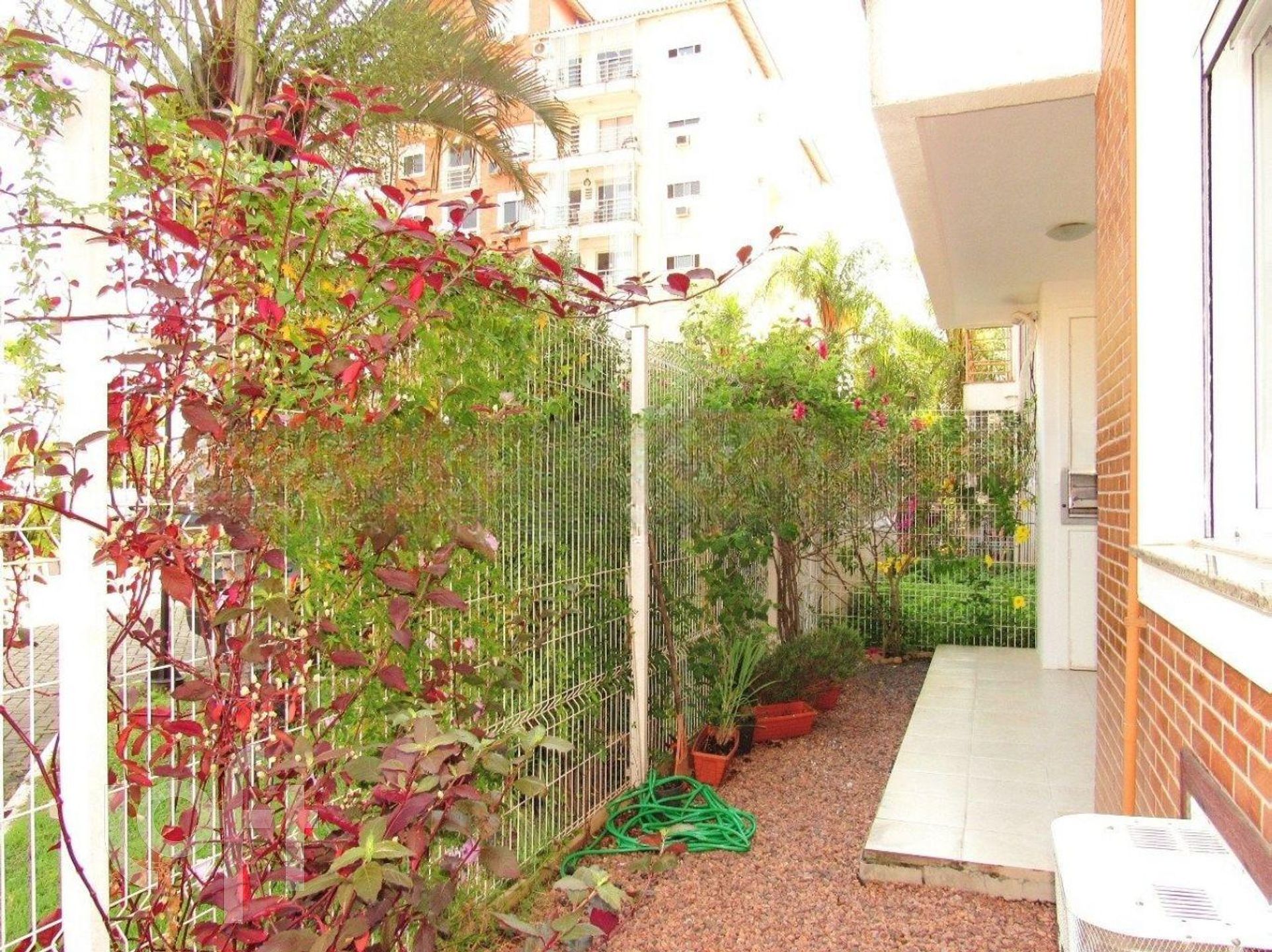 Imagem da propriedade 18