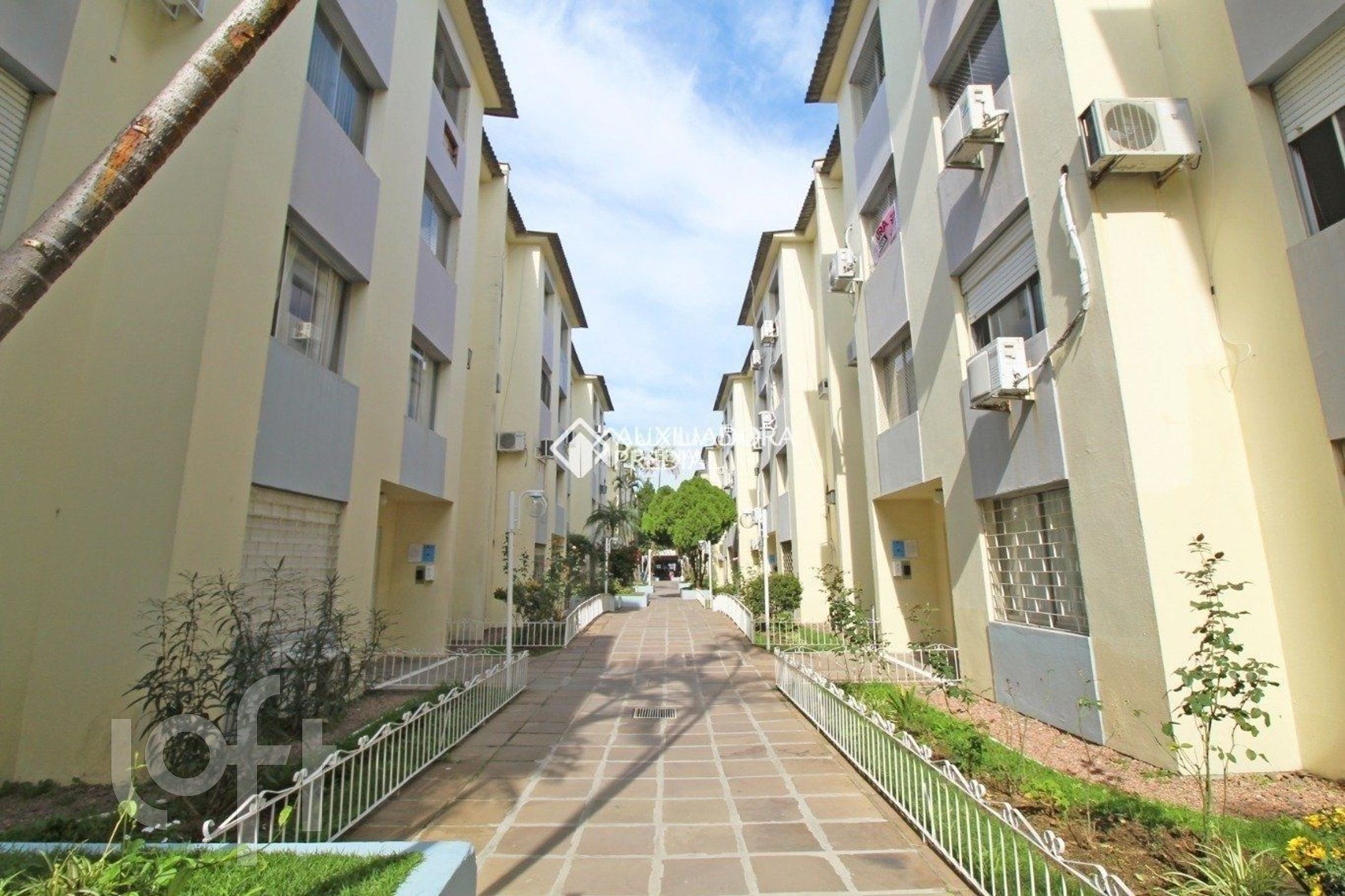 Imagem da propriedade 34