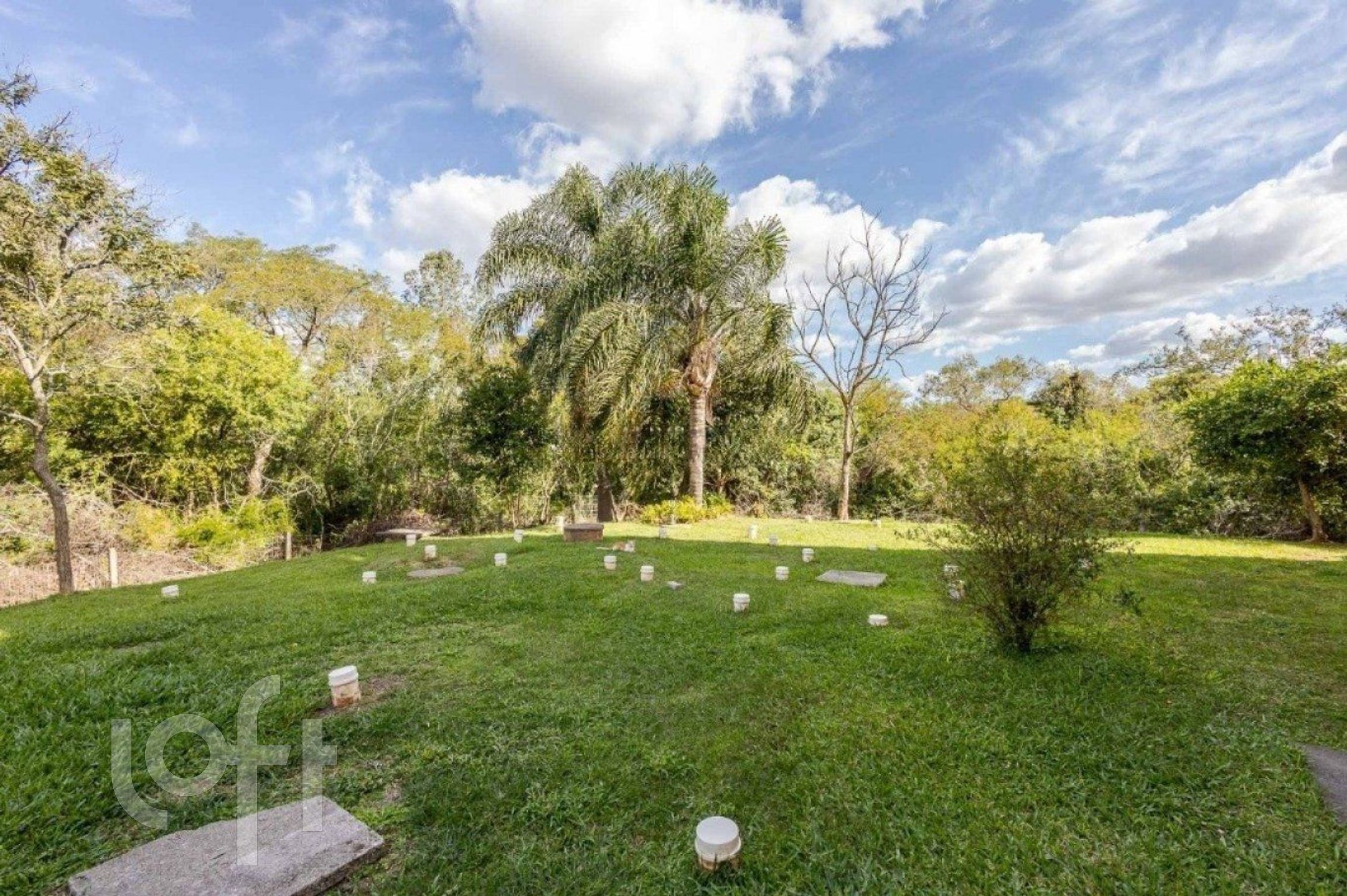 Imagem da propriedade 7