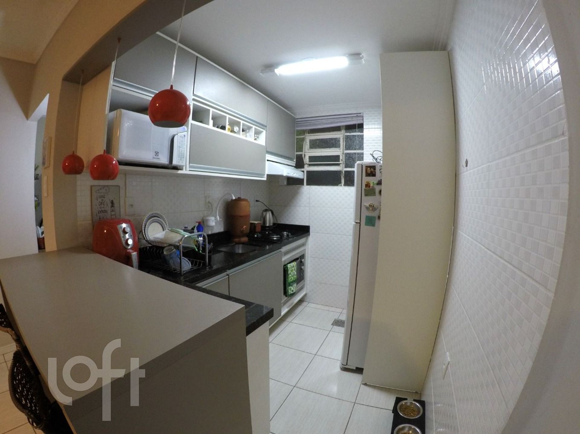 Imagem da propriedade 13